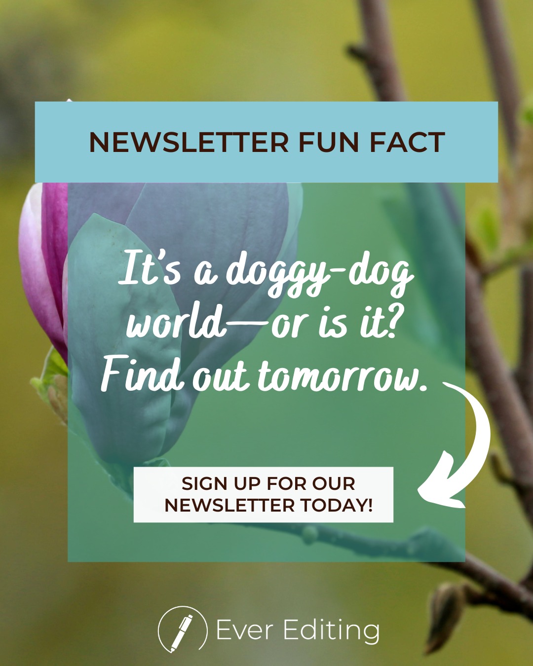 Our quarterly newsletter will be sent out tomorrow, and it’s full of fun facts about grammar, publishing, and Ever Editing. Sign up today so you don’t miss it! Go to the link below.
https://t.ly/4_xO
#BookEditor #Freelance #SmallBusiness #WomenOwnedBusiness