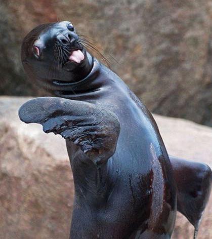 I wanted to pop on and say a little hello, as I’ve been very quiet recently 🤍
Nearly two weeks ago I badly hurt my back, and it’s completely knocked me off my usual rhythm. I’ve had to take a step back from creating, posting, and being present here while I focus on healing.
It hasn’t been easy to slow down, especially when this little space means so much to me, but I’m listening to my body and giving it the time it needs.
Thank you so much for your patience and for still being here… it really does mean the world. I’m hoping to be back very soon, gently easing back into things.
Until then, I’m sending lots of love and will keep you updated 🤍