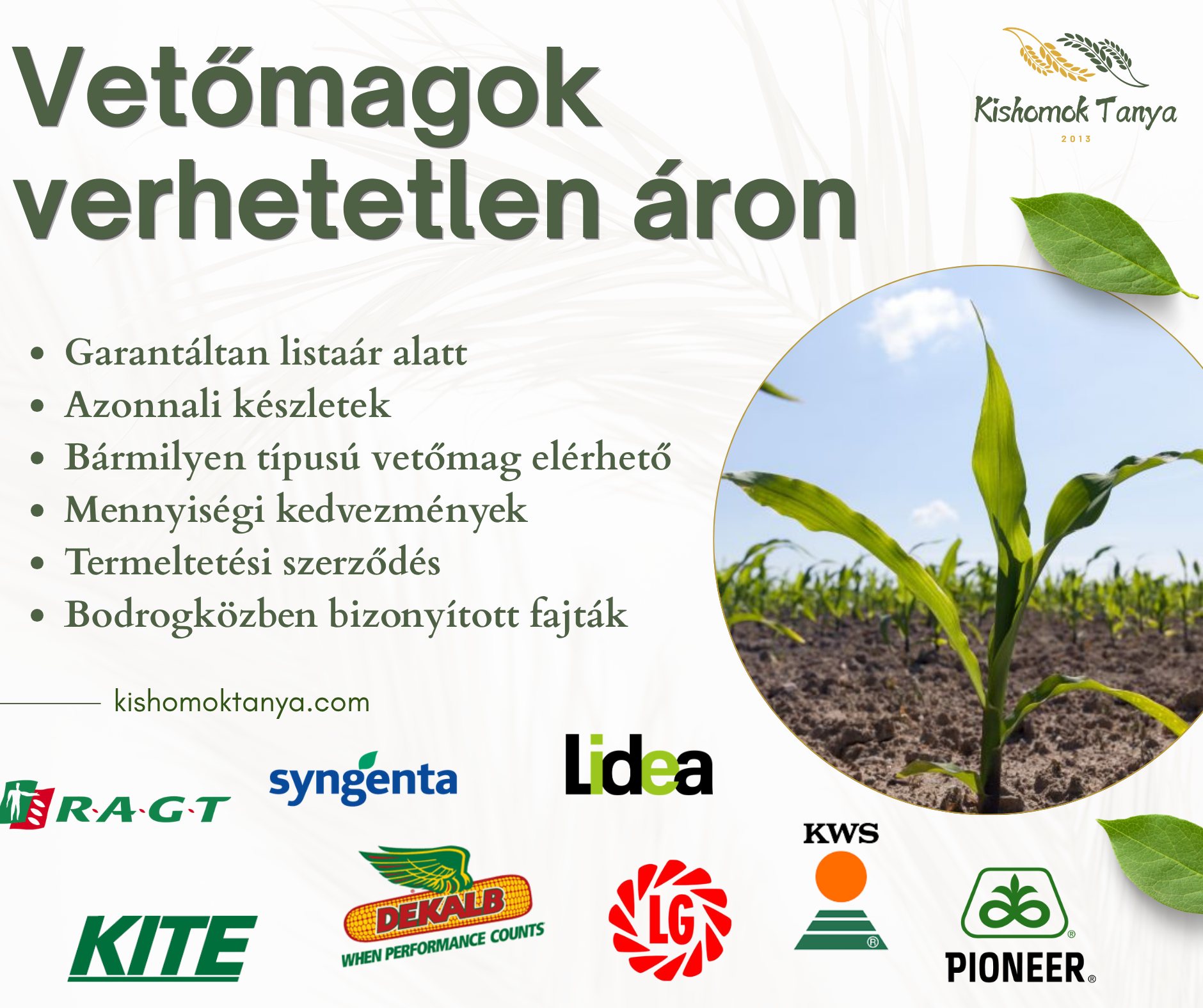 Verhetetlen vetőmag árak a Bodrogközben! 🌱🚜
Spórolj a költségeken, ne a minőségen! A legnagyobb márkákkal és azonnali készlettel várunk a Kishomok Tanyán.
Miért válassz minket?
✅ Azonnali készlet: Nincs hetekig tartó várakozás.
✅ Helyi tapasztalat: Olyan fajtákat kínálunk, amik a Bodrogközben már bizonyítottak.
✅ Rugalmasság: Mennyiségi kedvezmények és termeltetési szerződés lehetősége.
Ne hagyd az utolsó pillanatra, biztosítsd be a vetőmagot még ma! 🚜👇