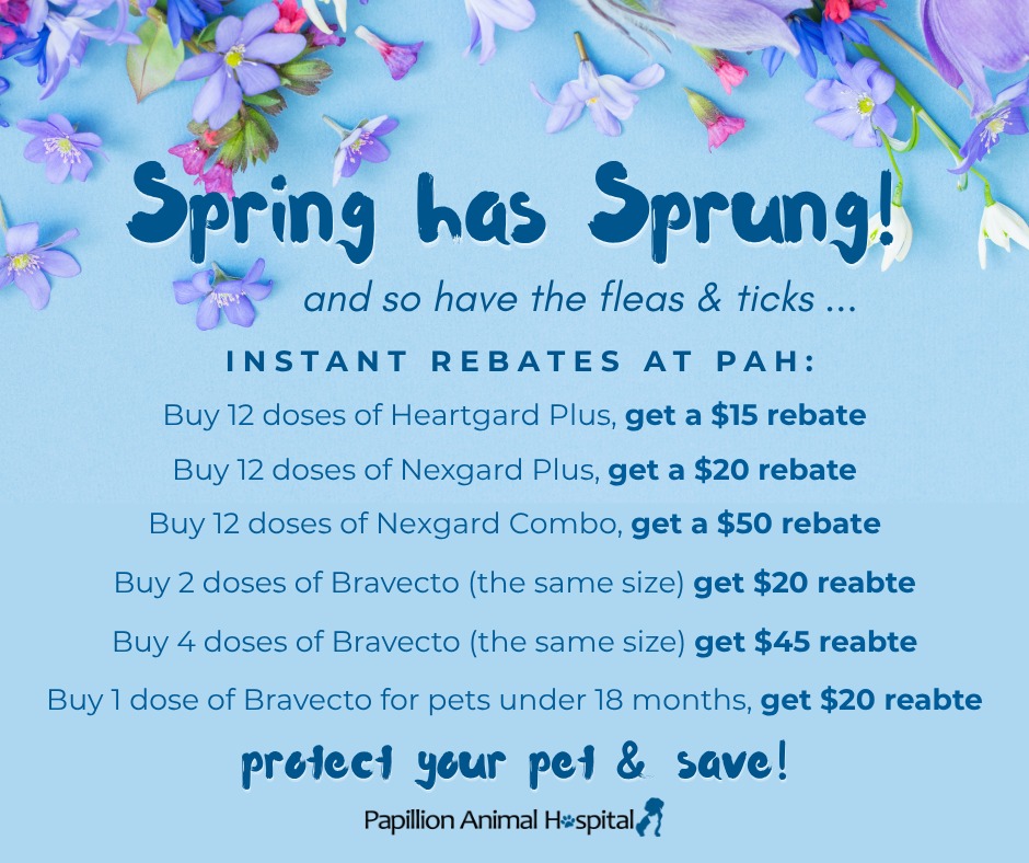 Check your supply and let us know if you need a refill! 🐾🌷🦟