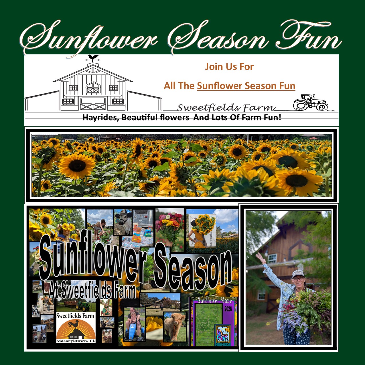 TICKETS FOR SUNFLOWER SEASON NOW RELEASED!
(ticket link located in our bio)
A fun new design this season in the SUNFLOWER FIELD and LOTS OF FUN ACTIVITIES.
Enjoy all Beautiful gardens throughout our farm, the fun activities, visit with all the animals, take a relaxing hayride, pick up some fresh gathered produce and flowers or head out into the u-pick fields for a hands on experience. Be sure to bring your camera to capture all the fun. Gather up your friends and family its time to embrace the beauty out on the farm and make memories that will last a lifetime!
When challenging yourself in this season's fun design.. You will be traveling the towering sunflower paths experiencing all the whimsy and fun our a-mazing field brings. Every season is a new design. This season featured in the field for 2026... You will be fluttering your way through the a-mazing flowers on the wings of a beautiful butterfly. See you in the flowers!
click ticket link in our bio for event schedule and ticket information.
โ
Included in your admission: The Sunflower Maze, Access to the Beautiful gardens and u-pick areas, Visit the Farm Animals, The Free Craft of The Season, The Hayride, Pitcher Pump Duck Race, Swings, Tree House Play Area, Peddle Tractors, The Tumble Weed Rollers And More
What to bring extra cash for:
Fresh Flowers (gathered and u-pick when available), Paint Craft, Produce(gathered and u-pick when available), Food and Drinks
3years and Older require a ticket to access grounds.
Online tickets are 11.95 + tax and service fee.
Tickets at Farm when available are $14.00.
Our events will have our working animals present for visiting
and is NOT PET FRIENDLY
โclick ticket link in our bio for event schedule and ticket information.
#upickflowers #funday #farmfun #sunflowermaze #thingstodoflorida #sunflowerfestival #sunflowerseason #farmanimals #maze #mothersday #Sweetfieldsfarm #givemomflowers #farmstand #sunflowers #springseason #thingstodo