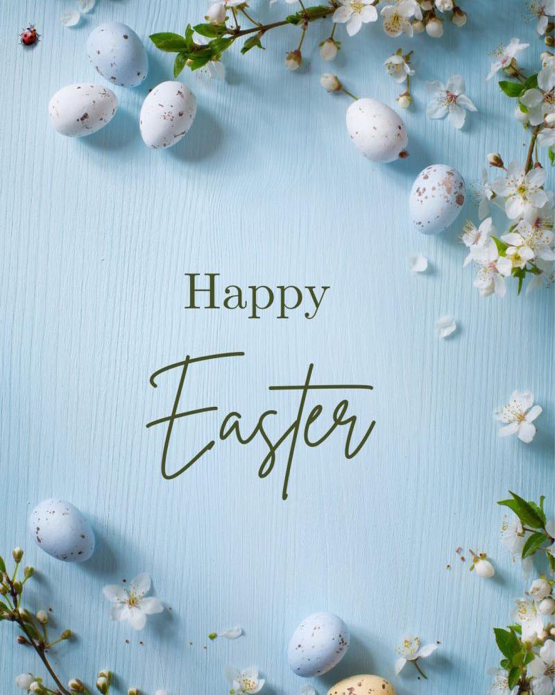 On this Easter Sunday, I’m reminded that hope is never wasted—and renewal is always possible.
Wishing you and your loved ones a day of peace, reflection, and the promise of better days ahead.