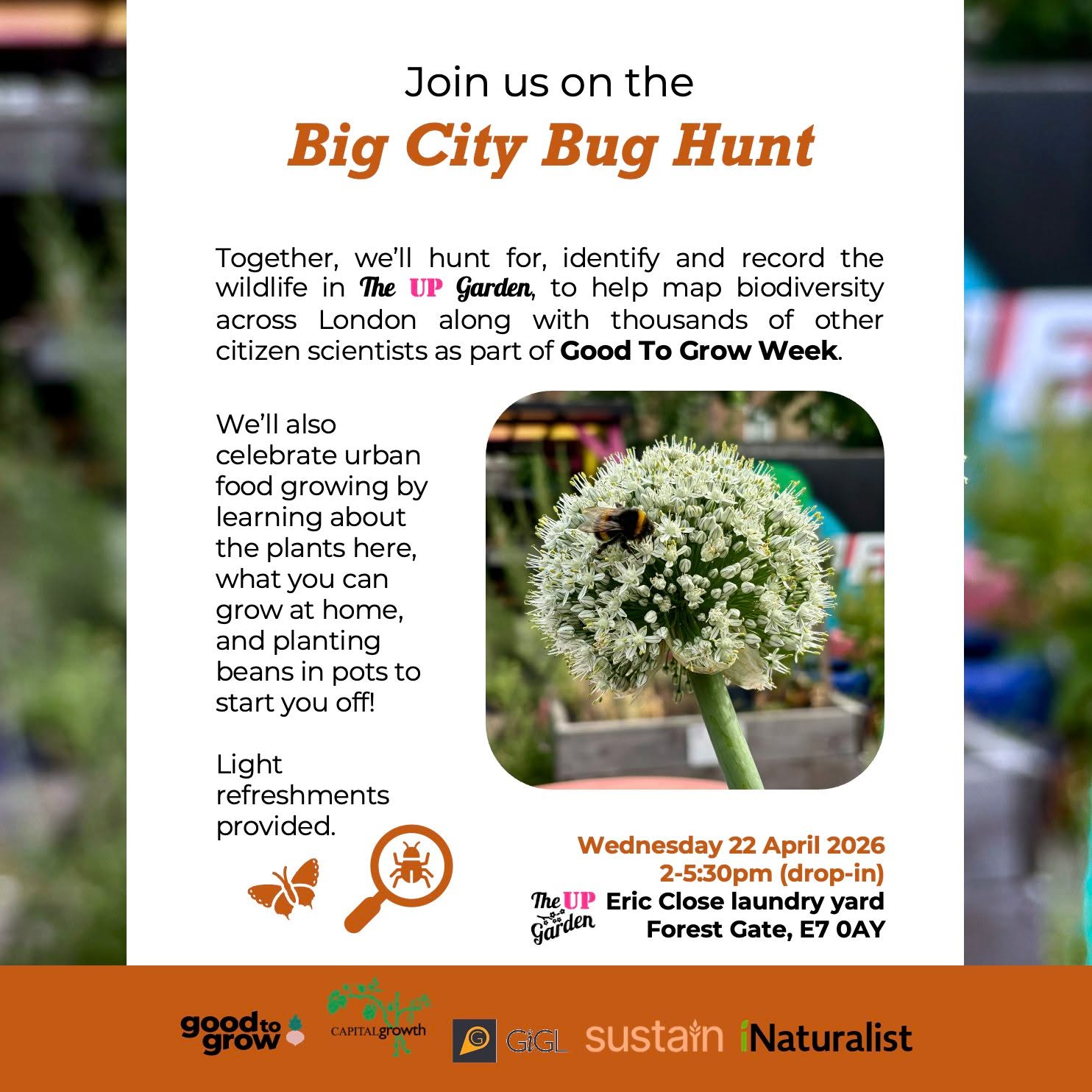 Join us to celebrate Good To Grow Week!
We'll record the wildlife in The UP Garden as part of the Big City Bug Hunt, learn about the plants here, what you can grow at home, & plant beans in pots to start you off!
Wednesday 22 April, 2-5:30pm (drop in). Light refreshments provided.