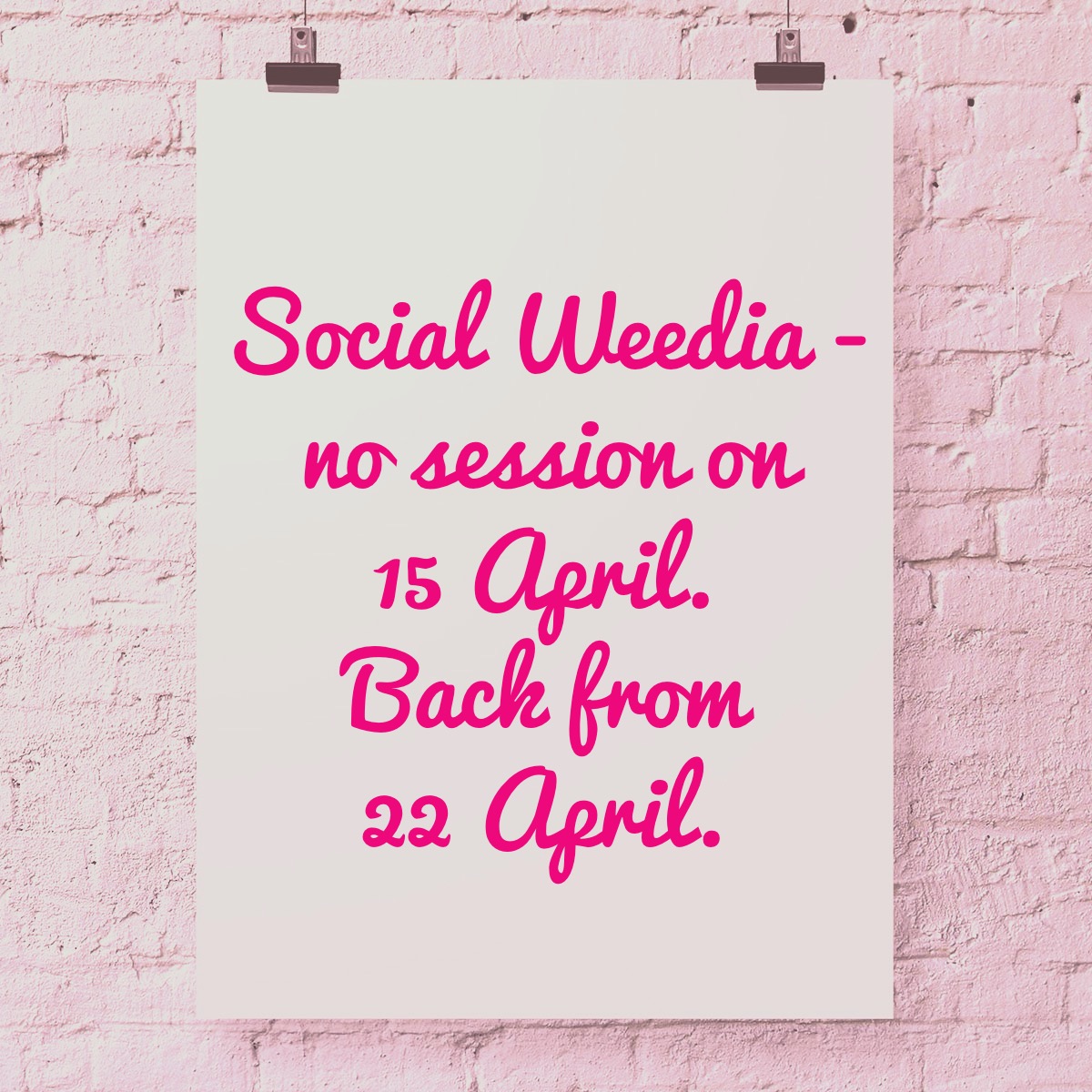 No Social Weedia next Wednesday (15 April), but our community gardeners will be back on 22 April with a longer session as part of the Big City Bug Hunt (stay tuned for details!), then back to the usual hourly slot from 29 April where you can drop in for light gardening & chat!