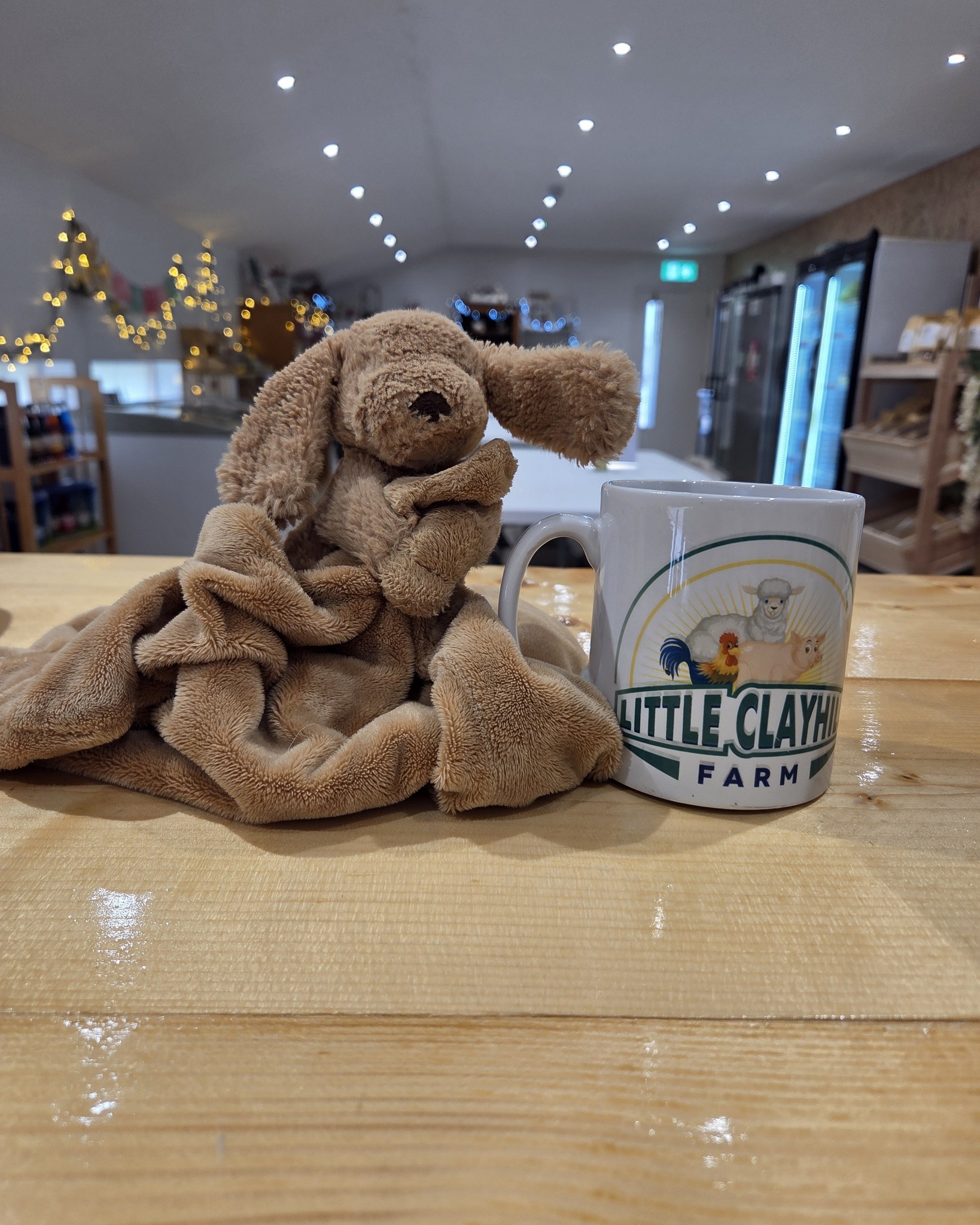 This much loved teddy was left on the play area at the end of last week. We have him/her safely in the farm shop enjoying a hot chocolate. If you know the owner please let them know we are looking after thier teddy well and its in the farm shop for collection.