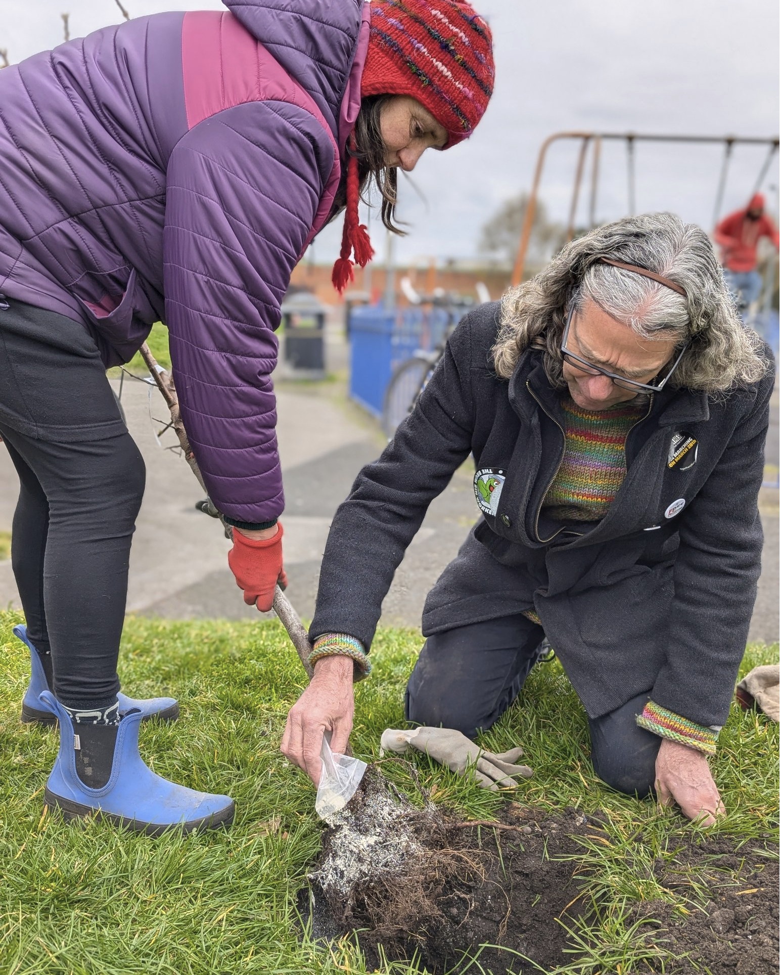 Our newest orchard, planted last week at #BalsallHeathPark with the Friends of Balsall Heath Park! Thank you to everyone who took the time to help us plant this orchard for the community to enjoy.