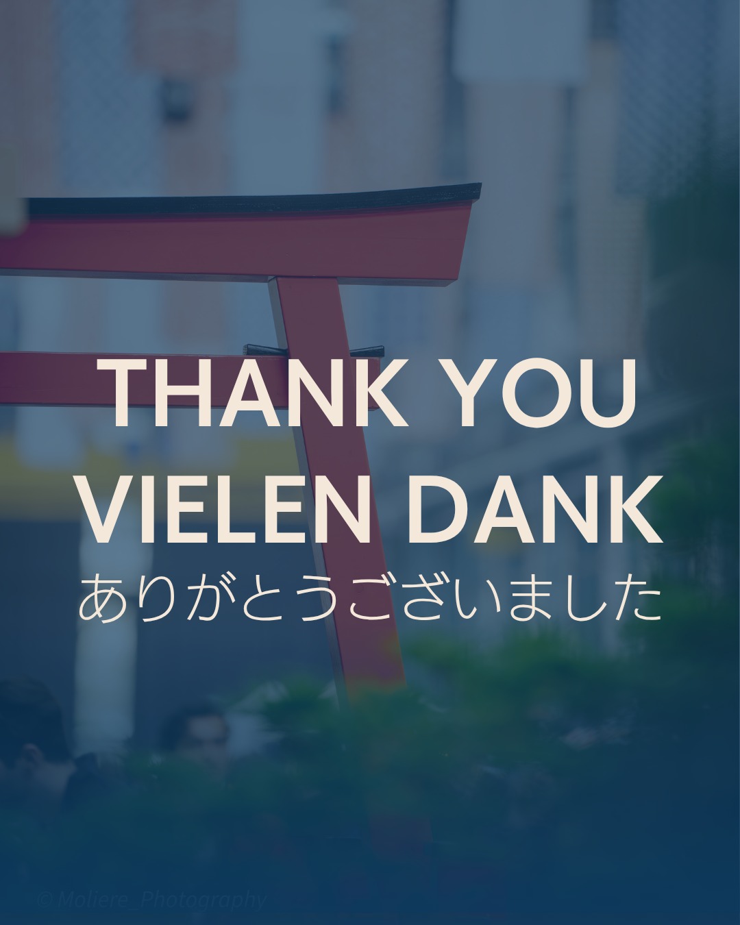 Japan Food Fest 2026 has come to an end πΈ
What started as a small idea from someone who loves Japanese food has now grown into a 5th anniversary celebration shared with all of you.
Thank you to everyone who joined us this weekend. Seeing you enjoy the food, culture, and atmosphere is what makes this all meaningful.
A heartfelt thank you to Halle 550 for hosting us once again, and to our partners and sponsors: Nissan, RRG Suisse, Sprachschule Yang, YumiHana, Stutzer Service, ITO EN, JapanSpecialist, Wuhrmann Garten, and the Schweizerisch-Japanische Gesellschaft β as well as our crowdfunding supporters β for making this possible πββοΈ
Shoutout to the team and volunteers whose dedication, energy, and hard work made this festival happen.
This year, we implemented many of the feedback we received from last year. If you would like to help improve future editions, we would really appreciate you sharing your feedback through our website. And if you enjoyed the event, your positive comments and reviews mean a lot β we read all of them and they keep us going.
Thank you for being part of Japan Food Fest. Vielen dank. γγγγ¨γγγγγΎγγ.
β Pia & the Japan Food Fest Team
π· @moliere_photography