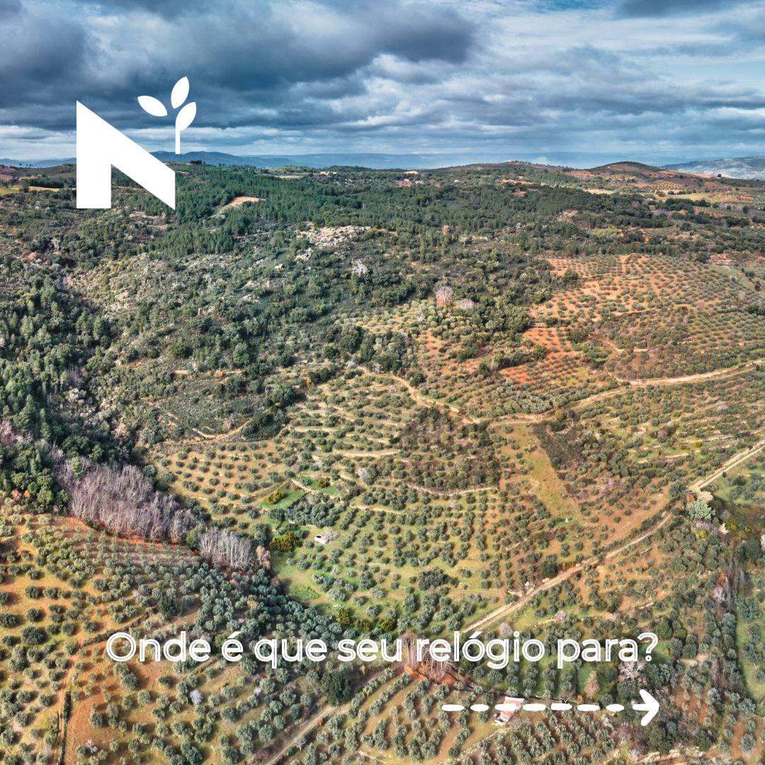 O silêncio também se cultiva. 🌿
Já sentiu que o mundo anda depressa demais para os nossos sentidos? No Norte, o tempo tem a cadência da natureza. Não se apressa a colheita, não se corre com o pôr do sol.
Para quem procura silêncio, a essência do sabor, ou para quem simplesmente precisa de desacelerar: a nossa porta está aberta.
Não há melhor carregador do que um passeio entre oliveiras centenárias e o sabor de um azeite que guarda o melhor de Trás-os-Montes e Alto Douro.
Aqui, os 100% não são da bateria do telemóvel. São da energia que recupera ao trocar o som do trânsito pelo sussurro das oliveiras. 🌿 Deixe-se guiar pelo movimento lento do azeite e pela autenticidade da nossa terra. Este é o seu momento de slow travel.
#azeiteanorte #azeite #trasosmontes #altodouro
#nortedeportugal #turismoanorte #turismodenatureza #turismorural #olivoturismo #oliveoilturism #turismogastronomico #gastronomia #gastronomy #portugal #slowtourism #portoandnorth #visitportugal #visitportoandnorth #slowlife #slowtravel #olivoturismoportugal #oleoturismoportugal #olivaisdodouro #experiênciasolivoturismo #roteirosemfamília #viagenscomsabor #gastronomiaregional #descubraportugal #apanhadaazeitona