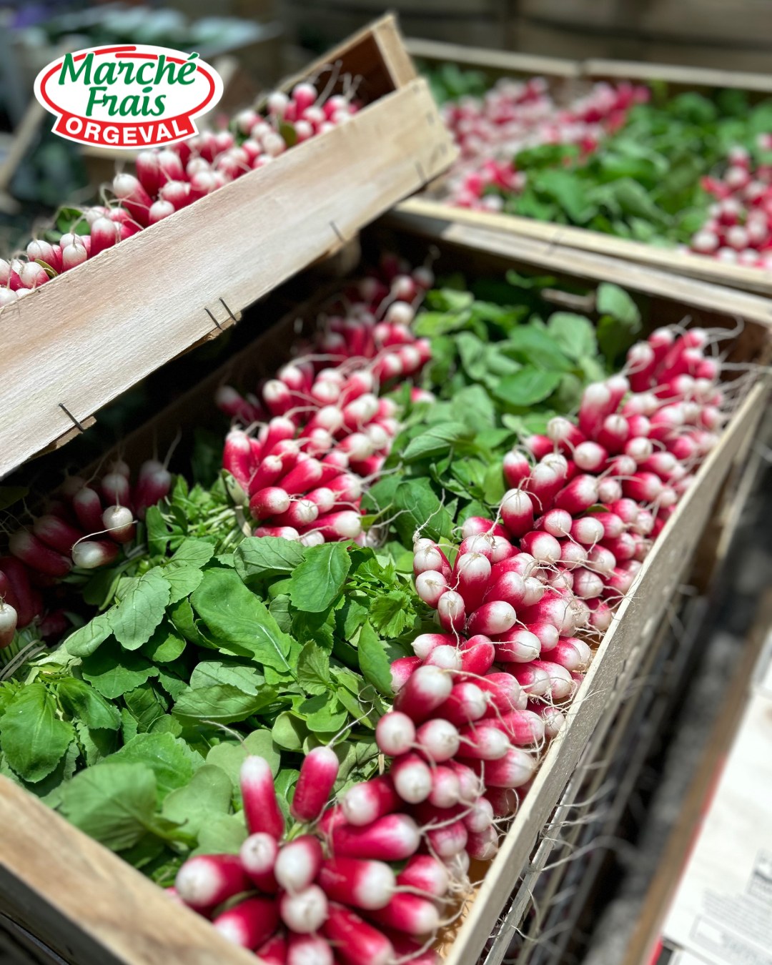 🌿 Le radis, le vrai goût du printemps
Le radis, c’est le produit qui signe le retour du Printemps
Simple, mais redoutablement efficace à l’apéro!
La recette qui ne déçoit jamais : radis, pain & beurre
Une bonne tradition
Du beurre demi-sel évidemment 😉
Une pointe de fleur de sel
Des radis bien frais et une touche de ciboulette
On tartine, on croque… et on savoure
📍 Commerce indépendant Marché Frais Orgeval
#orgeval #radis #printemps #mangersain #recettefacile #apero