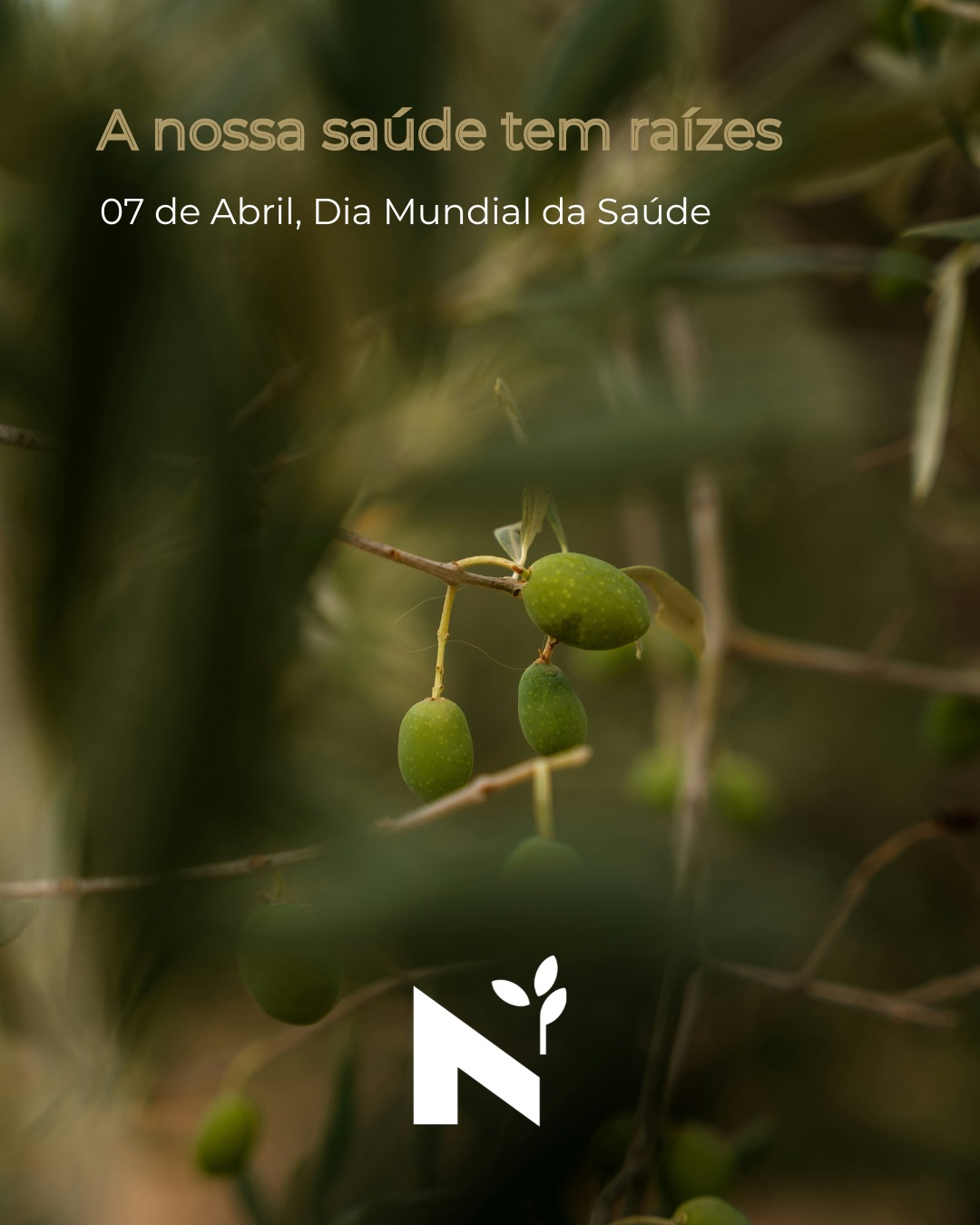 Hoje é o Dia Mundial da Saúde, e em Trás-os-Montes e Alto Douro, a saúde celebra-se à mesa. 🌿✨
Muitas vezes procuramos fórmulas complexas para o bem-estar, quando o segredo está na simplicidade da terra. O Azeite Virgem Extra é, como lhe chamamos, um monumento vivo à longevidade.
Não é apenas sabor; é ciência em estado líquido:
✅ Polifenóis: Os guardiões das nossas células.
✅ Ácidos Gordos Monoinsaturados: O escudo do nosso coração.
✅ Vitamina E: A energia que regenera.
Aqui, acreditamos que escolher um azeite de qualidade é um ato de respeito pelo próprio corpo. É nutrir-se com a essência do que é puro e ancestral.
Neste Dia Mundial da Saúde, brinda connosco com o melhor que a natureza nos dá. 🫒💛
👉 Qual é o teu hábito diário com azeite que te faz sentir bem?
#AzeiteANorte #DiaMundialDaSaude #SaudeNatural #OuroLiquido #TrasOsMontes #DietaMediterrânica #BemEstar #MonumentosVivos #PatrimonioNatural #azeitevirgemextra #gastronomiaportuguesa #turismorural #azeite #nortedeportugal #turismoanorte #olivoturismo #oliveoilturism #wellness #gastronomy #portugal #portoandnorth #visitportugal #visitportoandnorth #slowlife #olivoturismoportugal