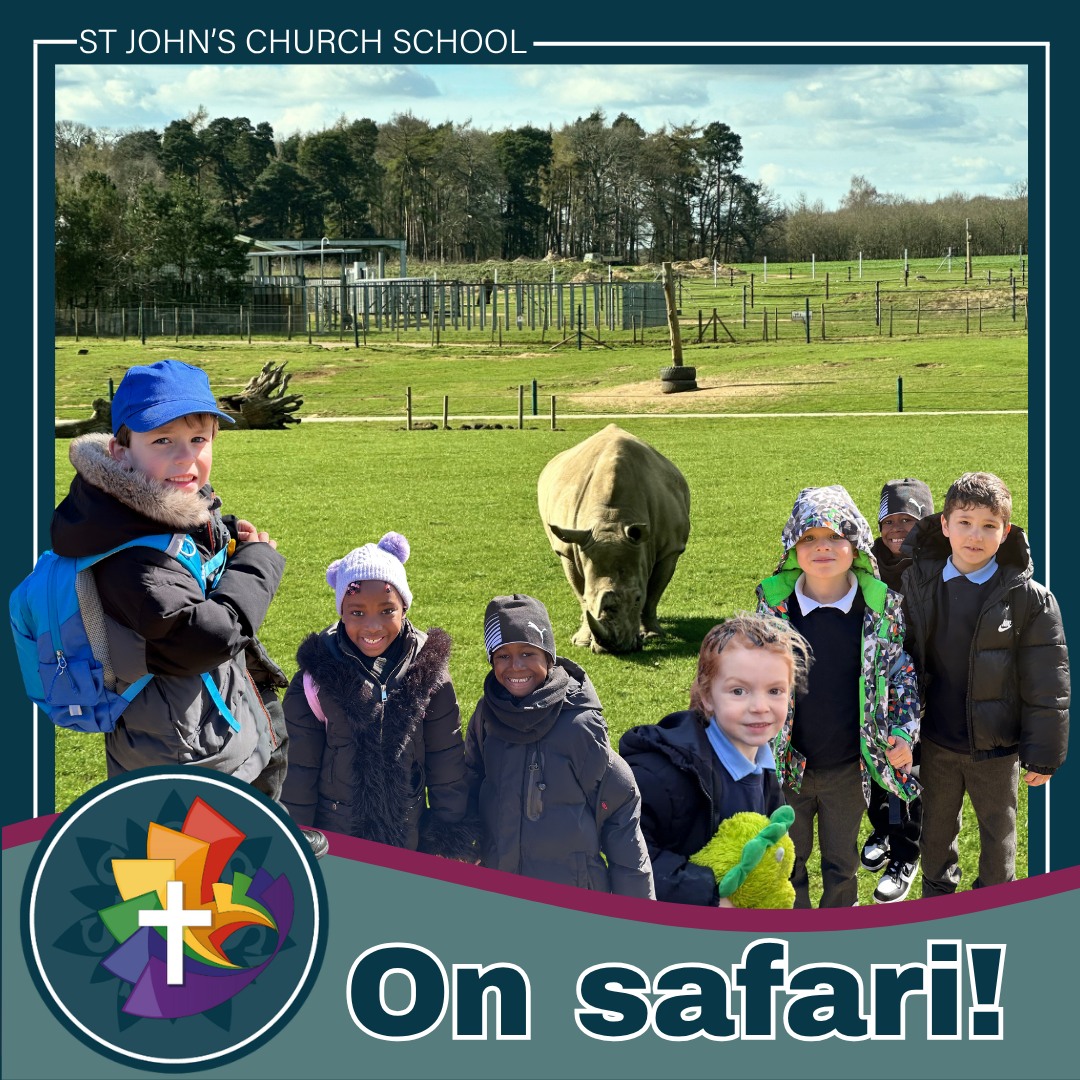 🦁🐒 Year 1 Trip to Woburn Safari & Zoo 🐻🐯
On 26th March, Year 1 had a wonderful day exploring @woburn_safari
On the safari drive, we were lucky to have our very own tour guide, giving us a VIP experience 🎤🚌 and sharing lots of interesting facts along the way. We were excited to see bears 🐻, lions 🦁, tigers 🐯 and monkeys 🐒, along with many other amazing animals. During the foot safari, we spotted penguins 🐧, sea lions 🦭, tortoises 🐢 and meerkats 🐾.
The children loved watching the animals up close and learning all about their habitats and behaviours. We also took part in the “Poo at the Zoo” session 💩, where the children enjoyed a hands-on learning experience and even got to touch elephant poo! 🐘😄
Throughout the day, Year 1 showed excellent behaviour and enthusiasm and represented St John’s respectfully and proudly!
.
.
.
#woburnsafaripark #Year1Trip #LearningBeyondTheClassroom #stjohnschurchschool