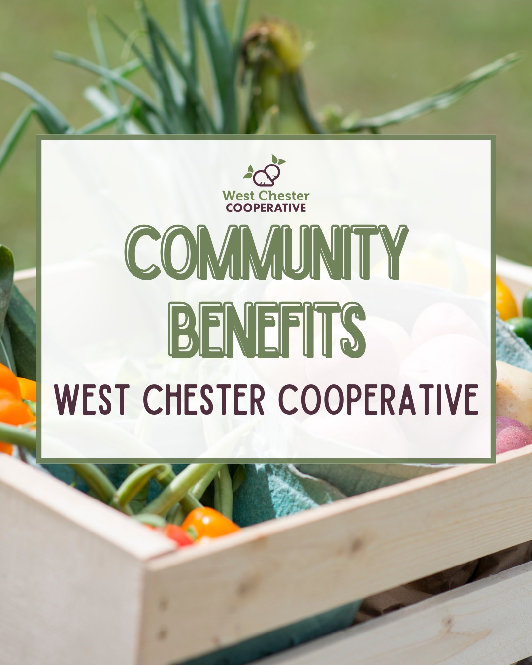 We’re getting closer every day… 🚧✨
As development continues and we get closer to opening our doors, we’re excited to share the community benefits that will make this Co-op so special. This is more than a grocery store—it’s built for you.