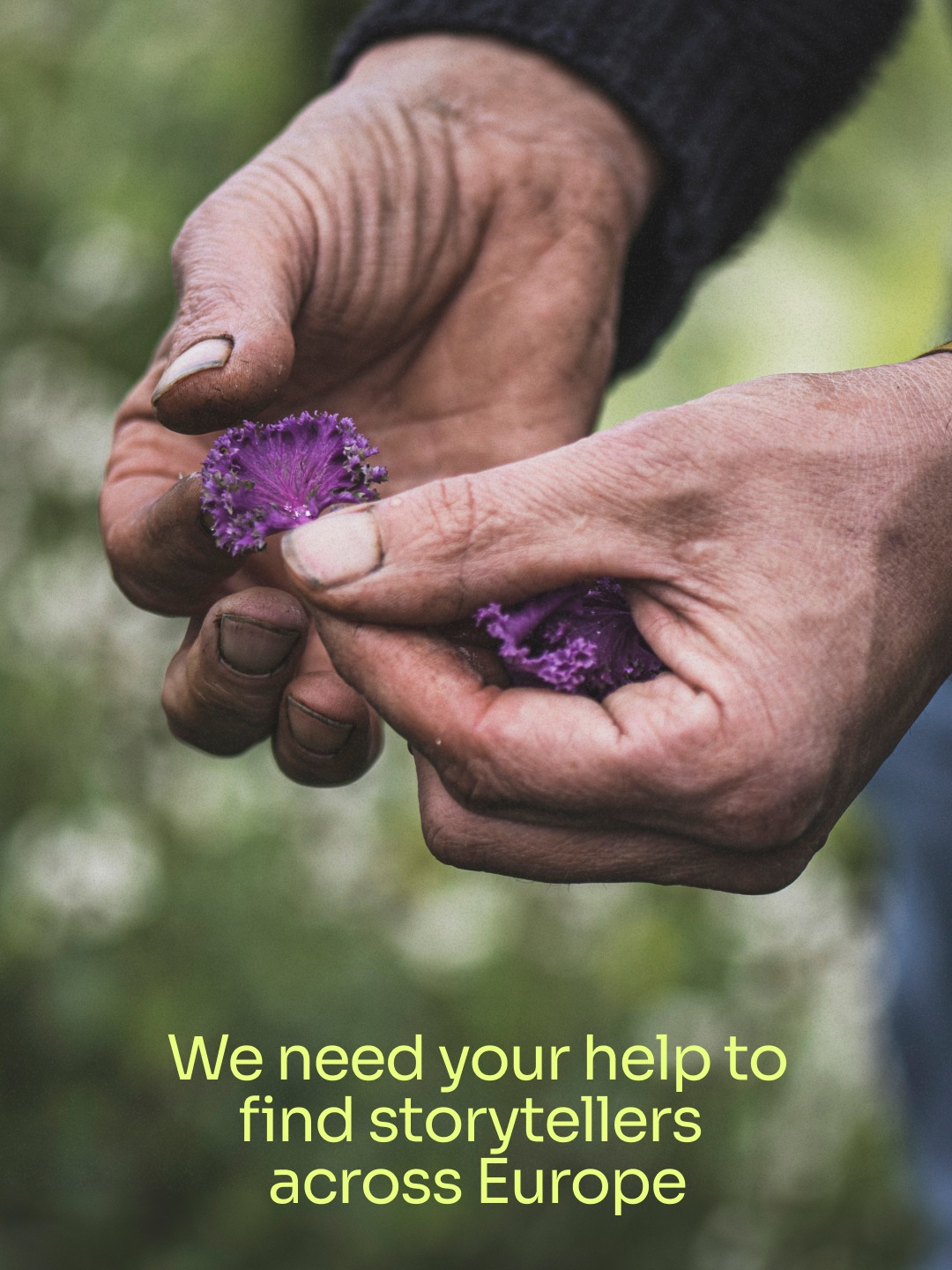 We need you help!
Are you or do you know a writer, storyteller, content creator, photographer, film maker or podcaster interested in telling stories of regeneration?
Tag them below to let them know about this opportunity.
Each year, Top 50 Farmers opens applications to find 50 more role models to join the community, creating a blueprint for what regenerative farming can look like all over Europe.
The farmers gain access to a 1-year accelerator program and alumni network with opportunities to grow their network, mindset, business, and brand including a profile write up on Top 50 Farmers website and spotlight on social media.
We have fifty incredible stories of transformation to tell and are looking to collaborate with different creators to bring them to life.
The goal is to reach more people and amplify our collective impact as we spread these voices of regeneration.
If you are interested in telling a farmer’s story, use the link in our bio to let us know.
📸by @mondedesmillecouleurs and @de_blauwe_spie
#top50farmers #top50farmers2026 #t50f2026 #T50F #regenag #regenerativeagriculture #regenerativefarming #soilhealth #knowyourfarmer #futureoffarming #europe