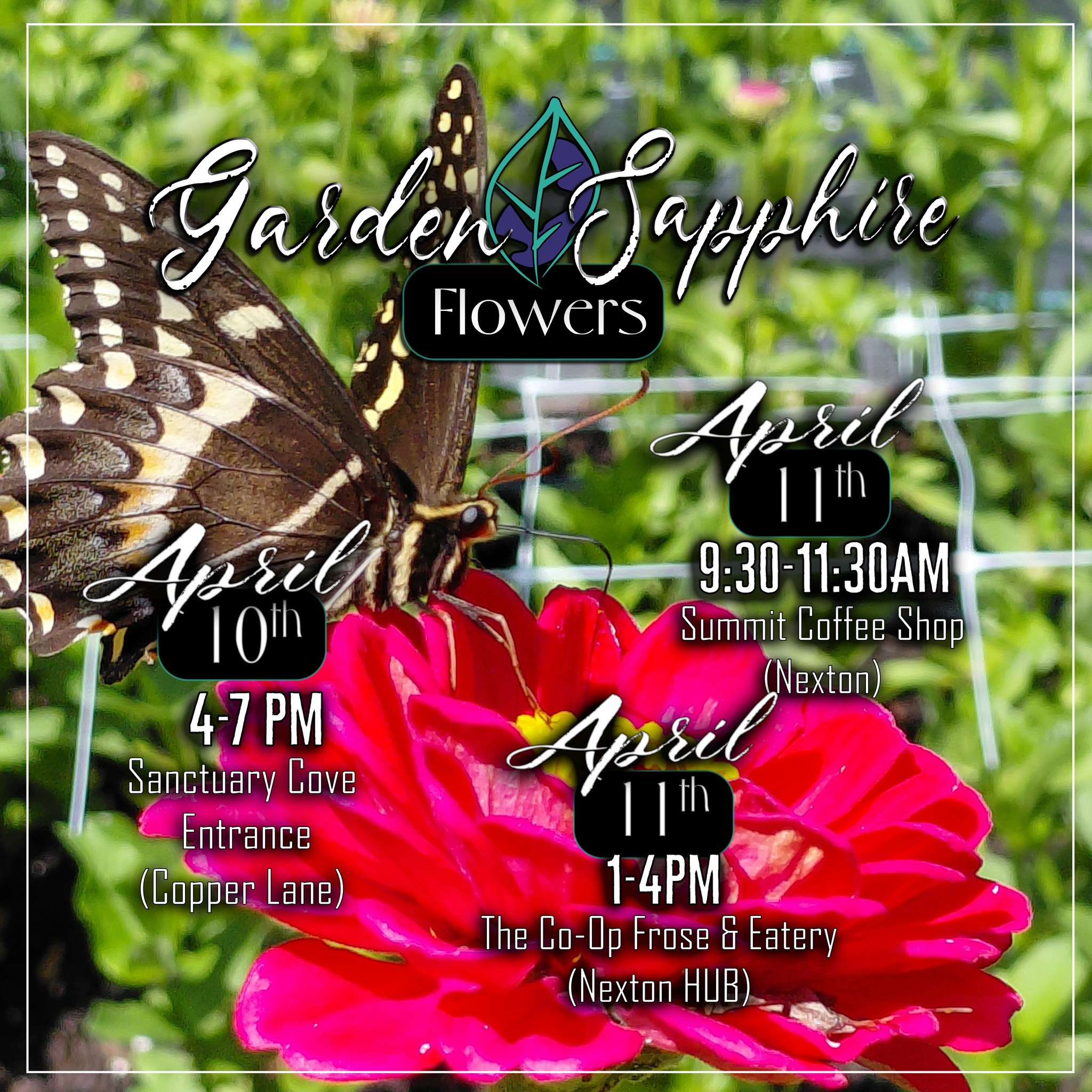Garden Sapphire is out and about this weekend!
Come by one of our 3 pop-ups for some Spring time beauties!
Friday, we will be at our usual Cane Bay location, outside the Second Entrance to Sanctuary Cove (at Copper Lane) from 4-7pm.
Saturday, we have a Mom's Club themed event @summitcoffeenexton from 9:30-11:30, followed by Live Music from Ian James and Yard Games @coop_froseandeatery in Nexton from 1-4pm.