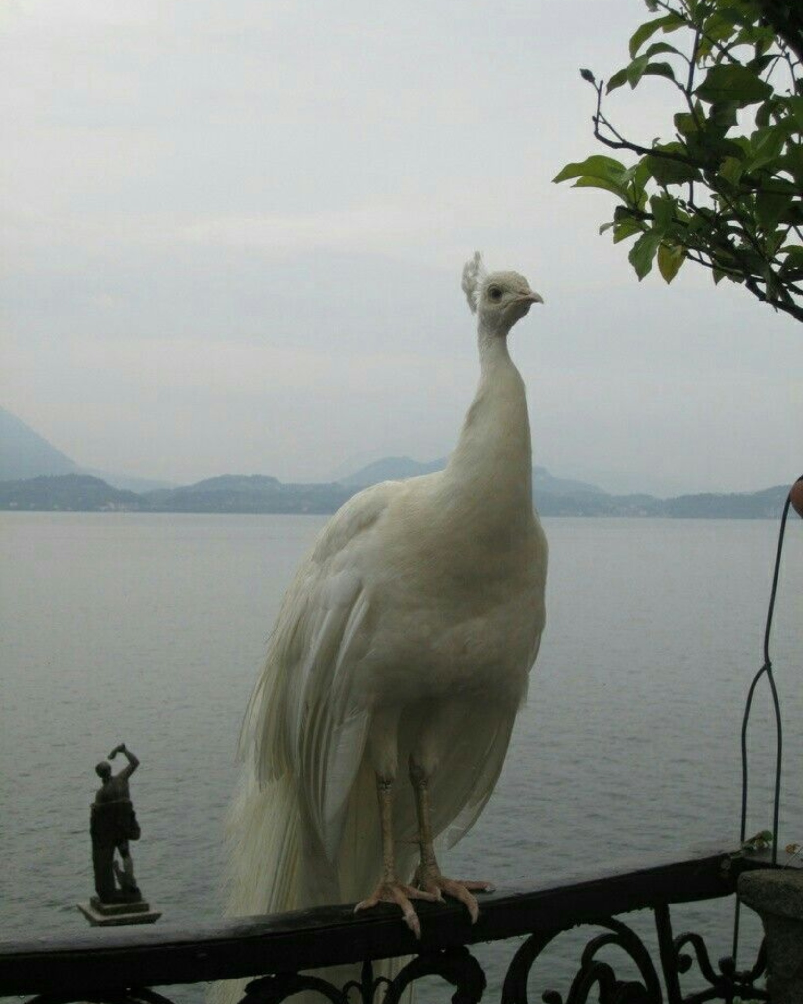 earth’s little angels 🕊️☁️