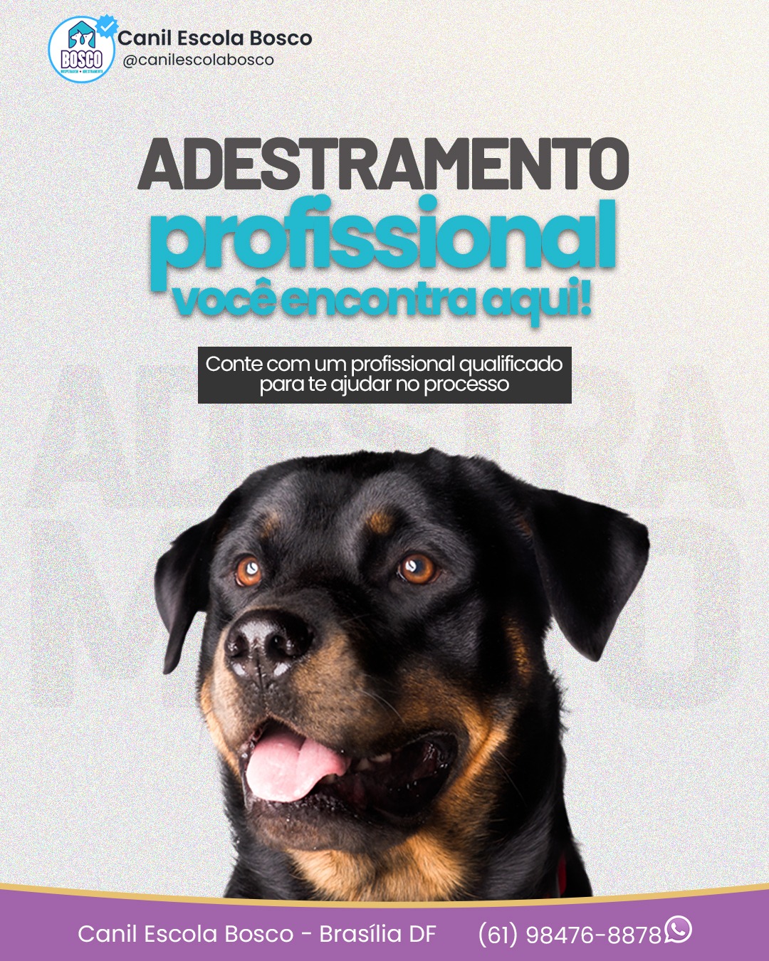 Seu cão merece o melhor, e no Canil Escola Bosco ele encontra profissionais qualificados para ajudar no processo de adestramento e educação do seu dog.
Seja para corrigir comportamentos ou ensinar novos comandos, estamos aqui para garantir que seu amigo tenha o aprendizado de forma eficaz e segura!
Se você quer saber mais, fale conosco e saiba como podemos te ajudar.🐶
☎ (61) 98476-8878
www.canilescolabosco.com.br
#canilescolabosco #canil #adestramentodecaes #adestramentocanino #adestrador #adestradordecães #adestramento #adestramentocaodeguarda #cãodeguarda