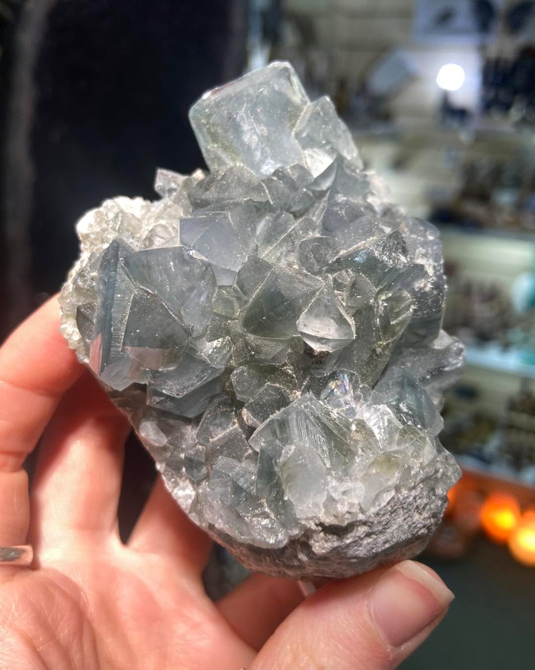 These Celestite clusters have the most ethereal vibe to them ✨🦋🌙
We have had a large new delivery of Celestite clusters in a range of sizes. Celestite is holistically associated with communication, self expression and calm
For more information or to purchase any of the items shown give us a message or comment down below
.
.
.
#crystalshopuk #celestite #crystalmagic