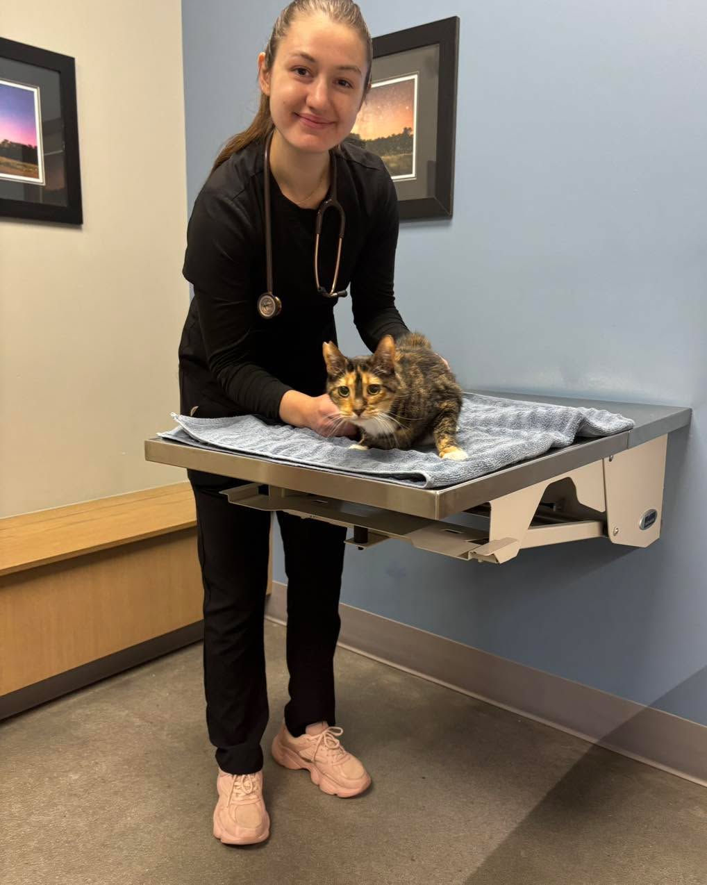 A couple of ur brave surgery patients from today: Myrtle, Princess, and Walter 🩵
They are all in for different surgeries, but one thing is for certain. We’ll do everything to help your furry friends feel safe, calm, and at home while staying with us 🐾