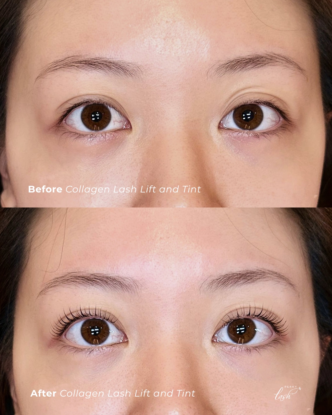 Before & After Collagen Lash Lift & Tint
Instant lift and your eyes look more open, brighter, and effortlessly put together.
No extensions needed, just your natural lashes enhanced to their best.
Perfect for those who want a low-maintenance routine but still look fresh every day!
Available at all outlets and home visit service.
#perkylash