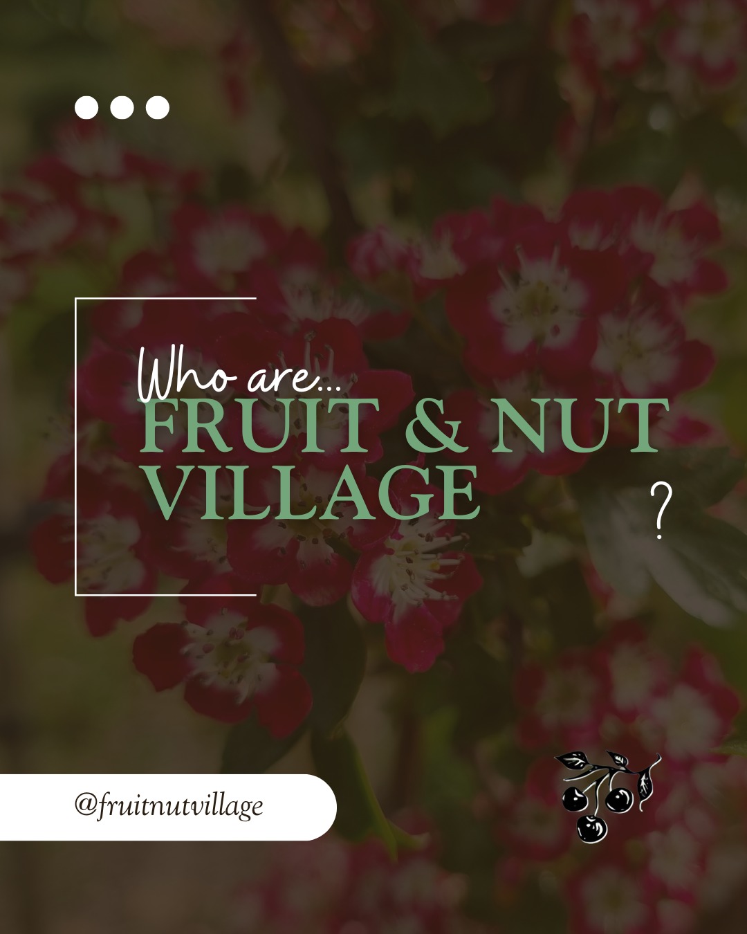 Reintroducing Fruit & Nut Village!
For those who are new to all things #fruity & #nutty, here are the who, what, where, when, and why of Fruit & Nut Village.
As we steadily approach the management of 100 growing spaces in #Birmingham, we have been reflecting on our origins - or, more appropriately, our 'roots' - ensuring our small charity continues to grow upwards towards the light.
We are grateful to have such a sublime network of #volunteers, helping us tend to and care for the orchards, forest gardens, and other perennial growing sites we have in Stirchley, Balsall Heath, Druids Heath, Billesley, Lozells, and beyond.
If you're not a volunteer yet, get involved today, make a difference in your community, and help us #GrowTheVillage.