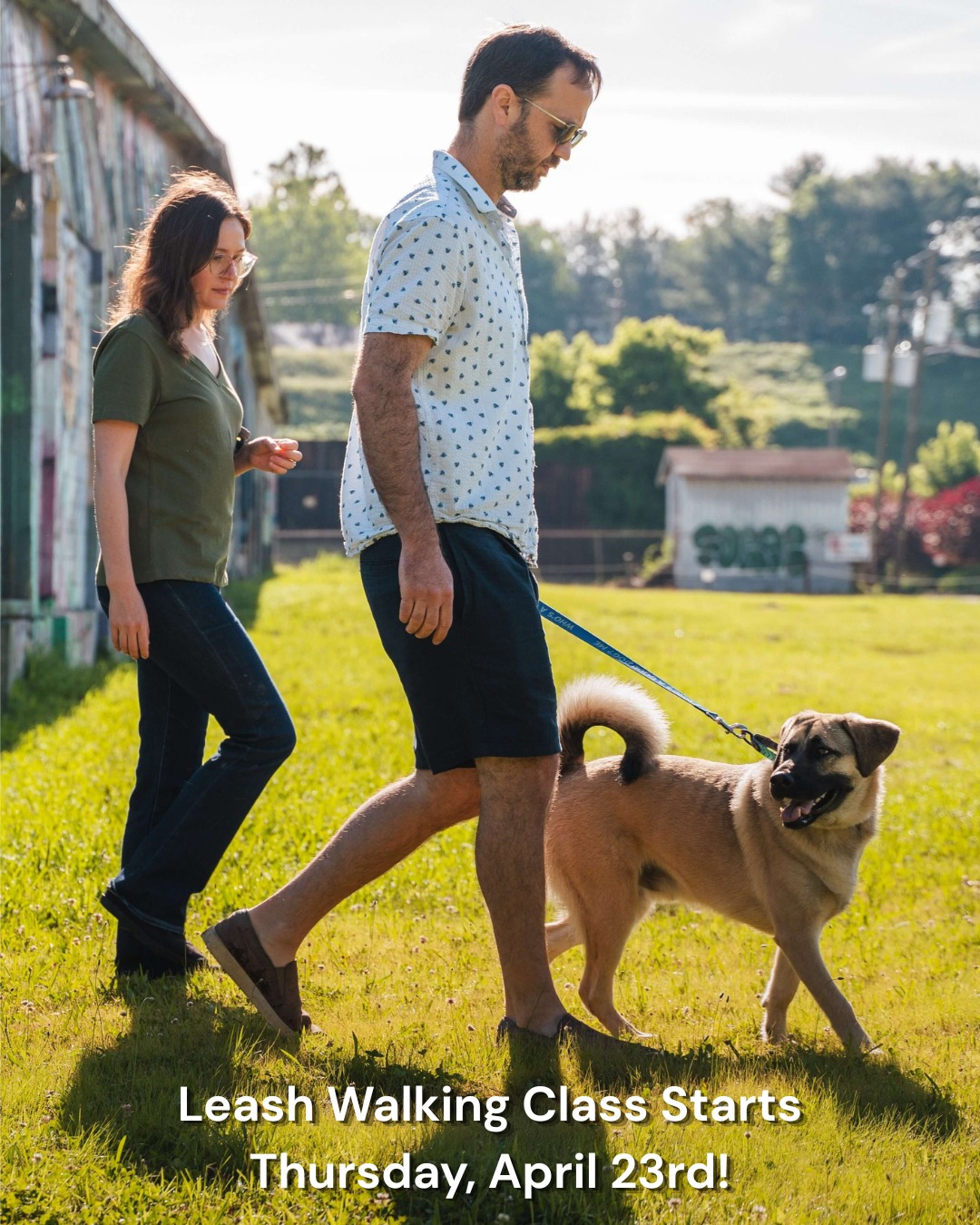 UPDATE: This class now starts on April 30th!
Walking with your dog doesn't have to be stressful or take a lot of effort! Our four-week Leash Walking group class can help you and your pup learn to stroll with ease. We'll teach you to communicate with your dog using the leash, the "walk," "heel," and "leave it" commands, and how to maintain a loose leash while walking around other dogs, past other dogs, and in different environments.
๐๐๐ฑ๐ญ ๐๐ญ๐๐ซ๐ญ ๐๐๐ญ๐: April 23rd
๐๐๐ก๐๐๐ฎ๐ฅ๐: Thursdays from 6:15 PM to 7:15 PM
๐๐ฎ๐ซ๐๐ญ๐ข๐จ๐ง: Four weeks
๐๐จ๐ฌ๐ญ: $175 per dog
๐๐ค๐ข๐ฅ๐ฅ ๐๐๐ฏ๐๐ฅ: Beginner
Sign up via the link in our LinkTree!
(Please note, this course is not appropriate for dogs who are experiencing extreme reactivity or struggle to be in a room with multiple other dogs. If this describes your dog, reach out to discuss other training options!)