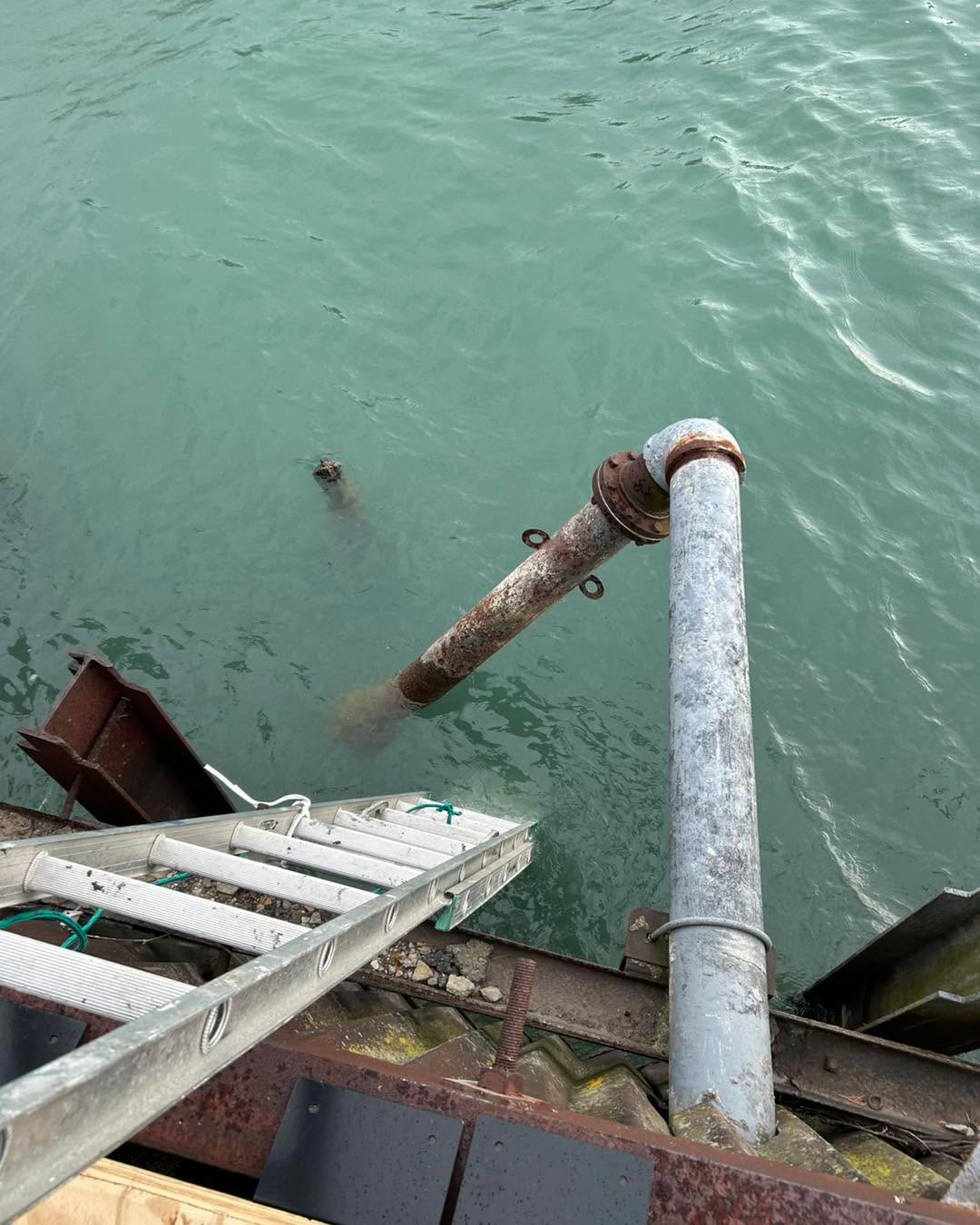 This morning I got to help with an interesting project at the Roostertail. The intake pipes for their fountain fell in the river during winter; I attached straps so they could be pulled out with a chainfall. The Detroit River is still pretty chilly, 45 degrees 🥶 After, I was lucky and got a little tour of the inside of the building. It’s very pretty!
.
.
#recoverydiving #lakestclair #greatlakesstate #detroitriver #stclairshores #clintonriver #roostertail #harrisontownship #boattown #algonac #stclair #metrobeach #michiganboating #puremichigan #michiganmarinas #metaldetector #safeharbormarinas #boatmichigan