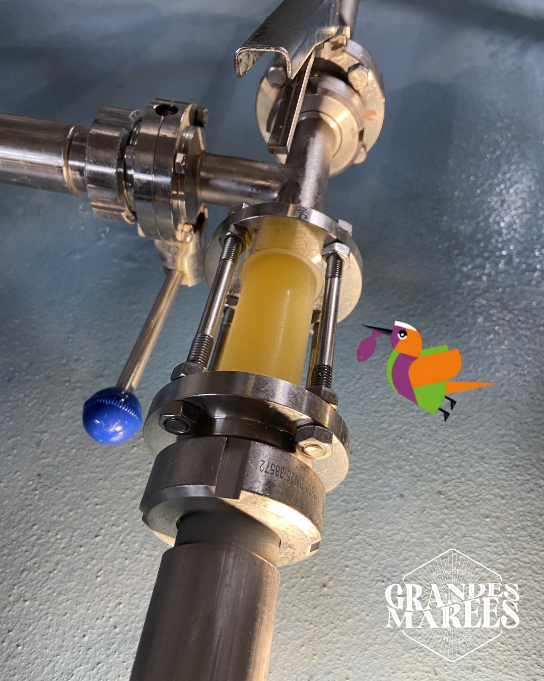 🌊 Nouveauté à la Brasserie 🌊
Un Nouveau Brassin éphémère arrive pour les beaux jours !
Saurez vous deviner de quoi il s'agit ? 🧐
#craftbeer #beer #newbeer #brassinephemere #brasseriegrandesmarees