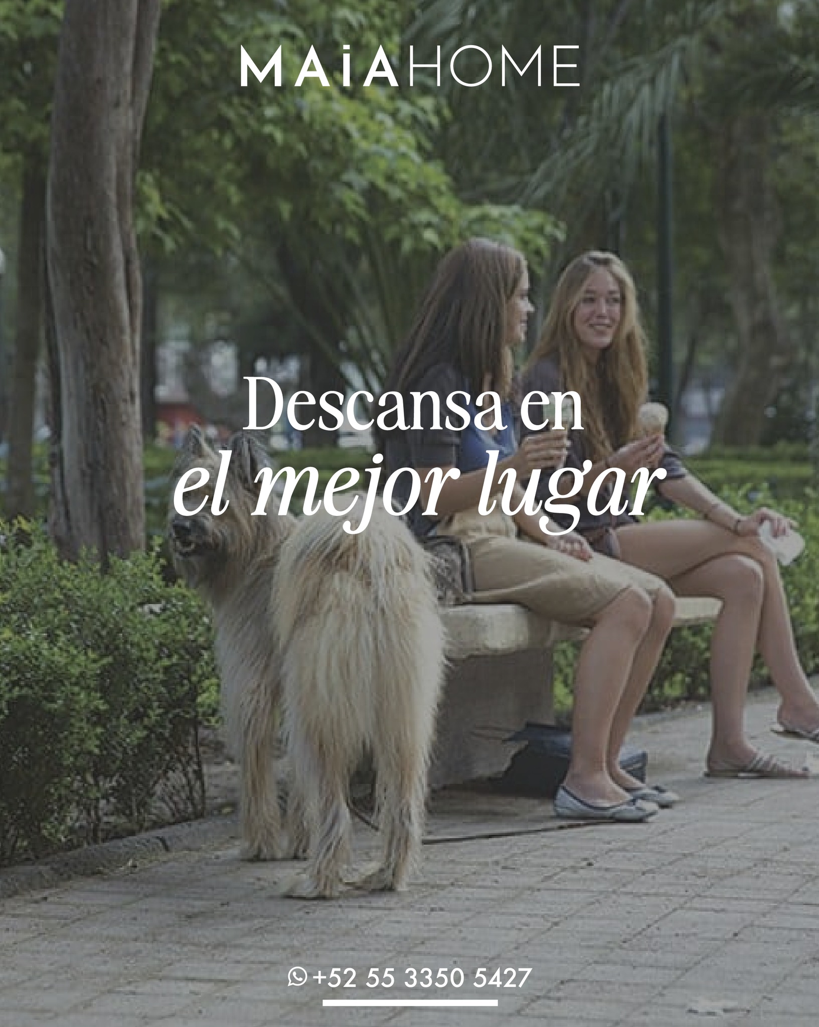 🌟En Maia Home, te damos las llaves de los barrios más icónicos.
💞Quédate en espacios como Cordelia o Conchita, diseñados para quienes buscan que su hogar sea tan vibrante como la ciudad que los rodea.
💫Nuestros depas lo tienen todo.
🔸Departamentos Amueblados
🔸Accesos sin llaves
🔸Wifi alta velocidad
🔸Kit de Bienvenida
🔸Recorrido virtual
💻Reserva tu alojamiento en nuestra página web.
https://www.maiahome.mx
💯Airbnb / Vrbo / Booking.com / Tripadvisor
#Maia #MaiaHome #CorporateHousing #VacacionalRental #Polanco #deluxeapartments #Springtime #Apartments #Departamentos #Airbnb #Vrbo #Booking #Tripadvisor