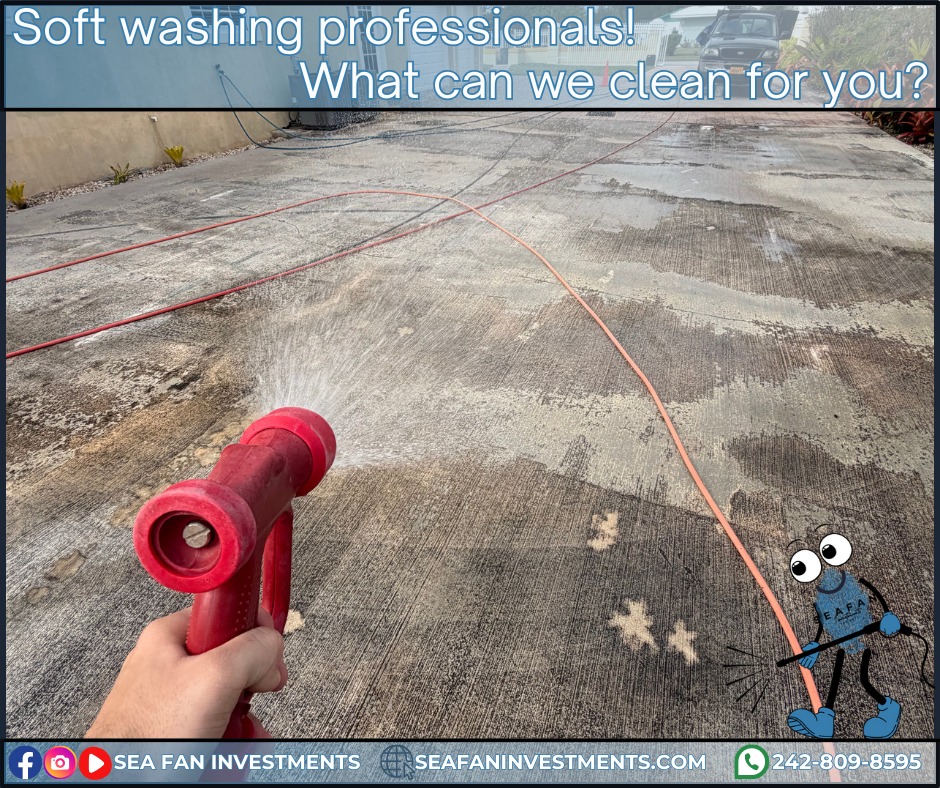 Pressure alone may make concrete appear clean for a short period of time as it removes the top layer of organic growth, but it does not get down to the root. This means it quickly comes back. Sea Fan Investments pre and post treat concrete to destroy the root of organics. This results in a deeper and longer lasting clean.
Want to learn more? Check out our blog on pressure washing:
https://www.seafaninvestments.com/post/what-is-pressure-washing
We don't just pressure clean! We are your soft washing professionals and provide complete exterior cleaning solutions! Concrete cleaning, house washing, roof cleaning, driveways, windows, decks, docks, pool surrounds, patios, surface sealing, paver restoration, and much more.
We have cleaned homes of all sizes, multi family properties, businesses, school campuses, churches, gas stations, apartment complexes, and manufacturing facilities. Big or small, we've cleaned it all. What can we clean for you?
We are always looking for ways to help you manage and maintain your investment.
We service Freeport, Grand Bahama π§πΈπ§πΈπ§πΈ and cater to all your property management needs.
Visit our website https://www.seafaninvestments.com/
Check us out on Google https://maps.app.goo.gl/FtLupz7nk7yhbf917
Follow us on Facebook https://www.facebook.com/SeaFanInvestments
Follow us on Instagram https://www.instagram.com/seafaninvestments/
Watch and subscribe to us on YouTube
https://www.youtube.com/channel/UCNAsDyoYIpteVf6pDe5iCQw
#pressurewashing #softwashing #roofcleaning #housewash #deckcleaning #DockCleaning #seafaninvestments #guttercleaning #drivewaycleaning #concretecleaning #soffitcleaning #sealing #stuccocleaning #poolsurroundcleaning #brickcleaning #stonecleaning #commercialroofcleaning #paversealing #dumpstercleaning #woodcleaning #oilremoval #oxidizationremoval #rusttreatment #graffitiremoval #windowcleaning #commercialcleaning #parkinglotcleaning #patiocleaning #pressurewashinggrandbahama #pressurecleaningfreeportbahama