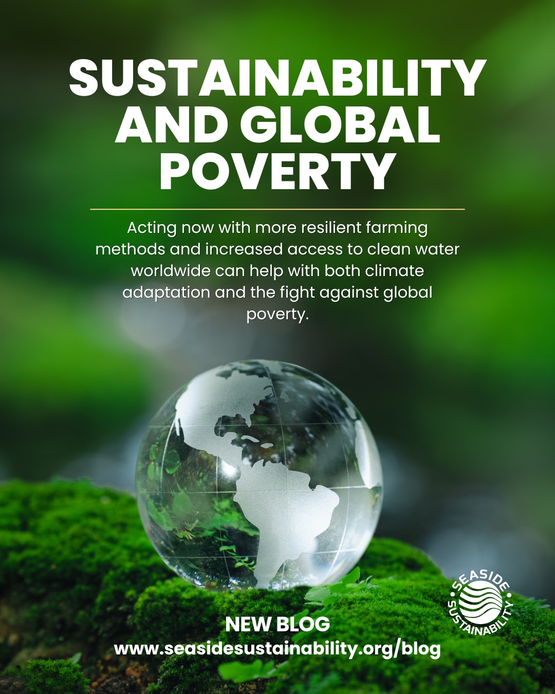 Sustainability is the ability to meet current needs without compromising future needs.
Let us dive into “The overlooked link between sustainability and global poverty” As we learn how we can help make a difference!
Read the full blog at: www.seasidesustainability.org/blog
#seasidesustainability #blog #climatechange #poverty #watersustainability
#agriculture