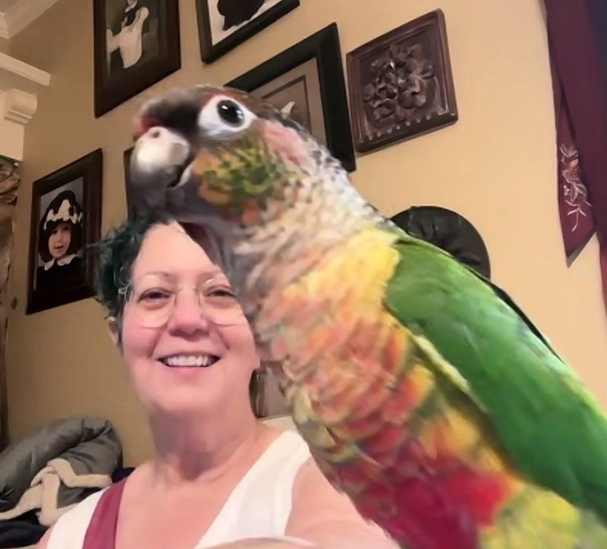 Had the best consultation this morning with @monicamarksart and her very opinionated assistant Sonny. (Sonny is a bird. He had thoughts.)
Monica is working on her upcoming solo show at Shoebox — Waiting Rooms — and it is going to be something. Personal photographs taken during some of the hardest moments. Hospital rooms, hands, IV poles, an edible arrangement that fed a family for two days because nobody was prepared. You know that kind of moment.
We talked about letting the images do the work without over-explaining. Walking in and feeling like you're in a waiting room — because you are. The photos on the walls become windows into those other rooms. Glimpses. One composed moment made from many real ones.
Also talked about organizing by sections, printing a book, pre-selling it.
This show is going to ask a lot of people. In the best way.
Opening May 31st 3-5pm Mark it down.
#shoeboxarts #waitingrooms #monicamarks #LAart #soloshow