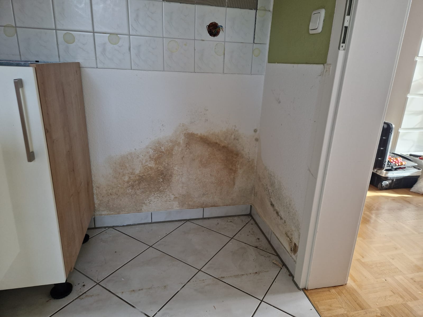 Wasser kann schon erhebliche Schaden an den GK-Wänden und Fußböden anrichten, vor allem wenn es über Monate hinweg in die Verkleidungen läuft.
Wir mussten erstmal die GK-Wände öffnen um zu schauen was uns erwartet, leider haben wir schnell festgestellt das die gesamten GK-Wände in der Küche, entfernt und von Grund neu aufgebaut werden müssen. Das haben wir glaube ich ganz gut hinbekommen.
🌏 www.ib-dresden.com
📧 info@ib-dresden.com
#innenausbau_bock #drywall #trockenbau #trockenbauguide #baustelle #sanierung #umbau #handwerker #handwerk #trockenbauwände #trockenbauarbeiten #innenausbau #diy #milwaukee #milwaukeetools #festool #euroline #siniat #wego #wegovti #baustoffundmetall