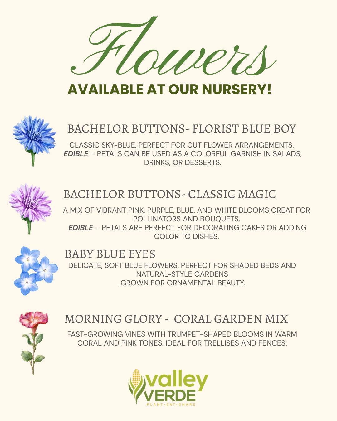 Add some color to your garden today! 🌸
Come by Valley Verde Nursery for fresh flower seedlings ready to grow! 🪴
#ValleyVerde #organicgardening #plantingseason #nursery #shoplocal #flowers