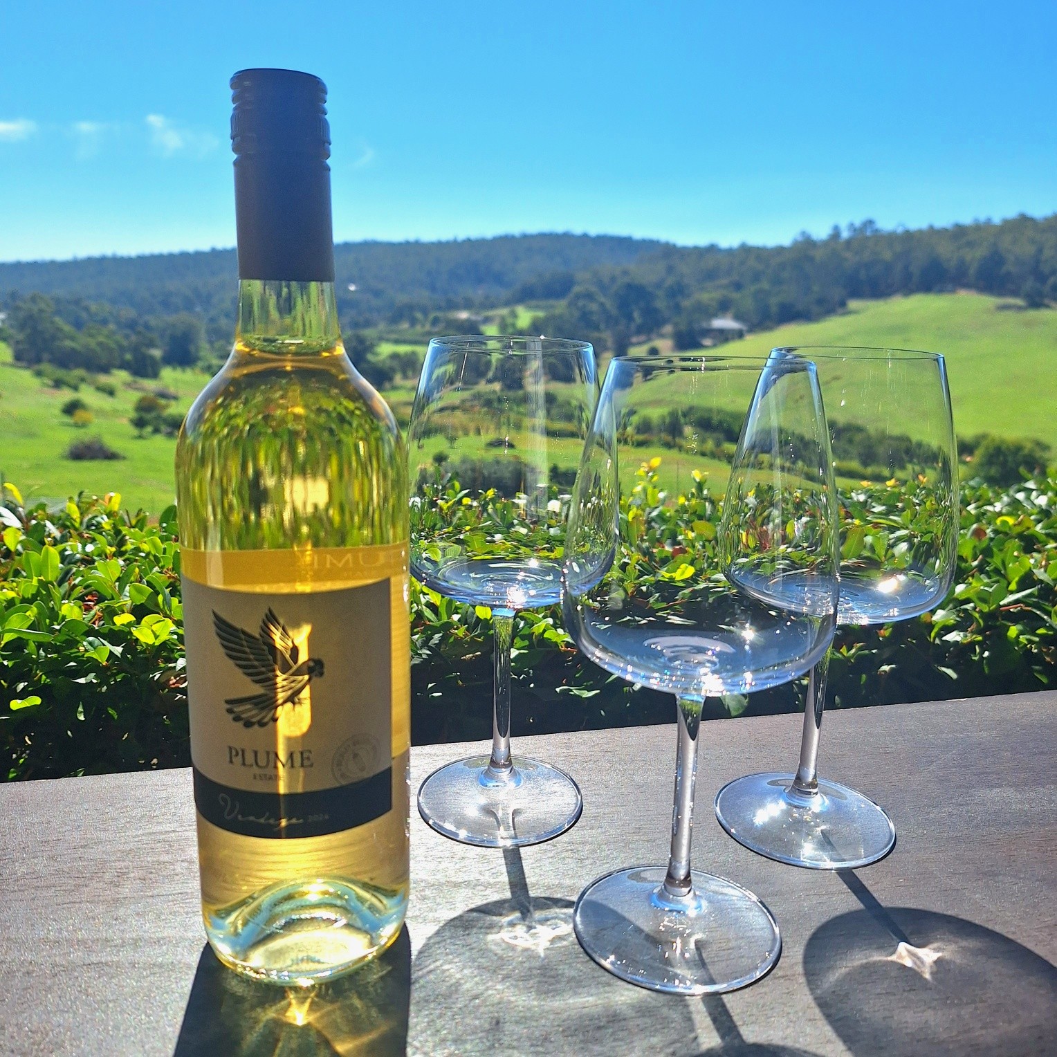 Book your table for the weekend! The valley is green and it's slowly changing in autumn 🍁 colours.
Relaxing and quiet atmosphere, perfect to sip wine 🍷 and enjoy the view 😍