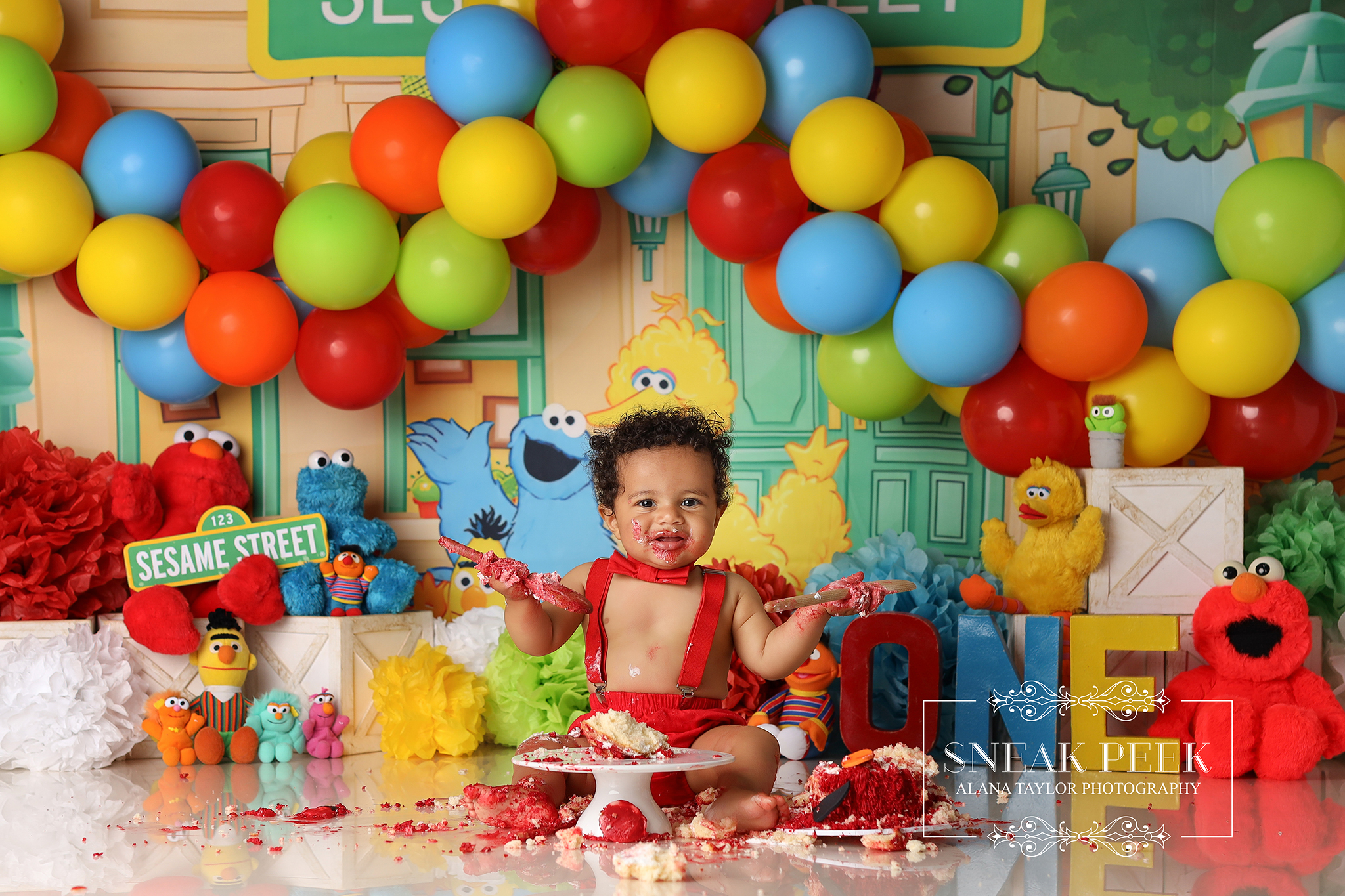 If it’s not messy, it’s not Elmo 🔴🎂
This Sesame Street Elmo cake smash theme for Asaiah came in bold, bright, and ready for absolute destruction… and he delivered. No hesitation, no gentle testing… just straight into full cake demolition mode 🍪💥
The cake was barely recognisable. Frosting covered fingers, cheeks, and everything within reach. It was messy, loud, and exactly the kind of energy this theme deserves 🎨📸
Elmo setups don’t do calm. They do colour, chaos, and cake everywhere. And honestly… the best kind of colour, chaos and mess!
#cakesmashmelbourne #firstbirthdayphotoshoot #melbournephotographerbaby #clydebabyphotographer #cranbournekids #berwickmums #pakenhamfamilies #officerbabies #langwarrinphotographer #frankstonphotography #cakesmashfun #babyphotosession
Melbourne’s Leading Newborn, Baby and Cake Smash Photographer – Book Early!
www.alanataylorphotography.com.au
Gorgeous Cake by @Procrastibakery & Eatery
https://www.facebook.com/profile.php?id=61558649999526
- Newborn Photography Melbourne
- Smash Cake Photography Melbourne
- Newborn Photographer Melbourne
- First Birthday Cake Smash Photos Melbourne
- Cake Smash Photography Near Me
- Cake Smash Photos Melbourne
- Newborn Photography Near Me
- Newborn Baby Photographer Melbourne
- Cake Smash Photographer Melbourne
- Affordable Newborn Photography Melbourne
#cakesmashphotographymelbourne #cakesmashphotographermelbourne #babyphotographermelbourne #firstbirthdayphotos #smashcakemelbourne #cakesmashfun #firstbirthdaycakesmash #firstbirthdaysmashcake #smashcakephotographermelbourne #cakesmashphotosmelbourne #melbournemums #melbournebabyphotographer #cakesmashinspo
