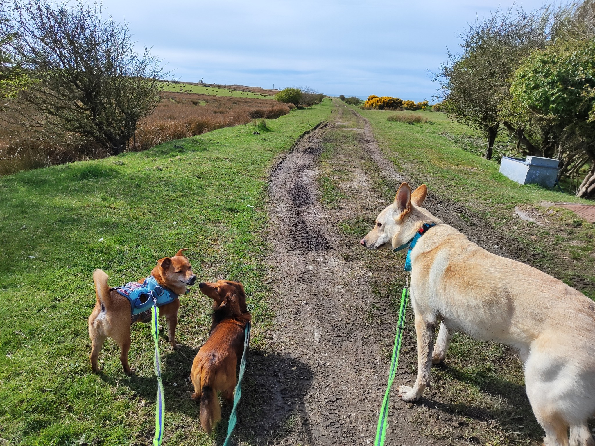 Rico, Bruce and Ted πΎ