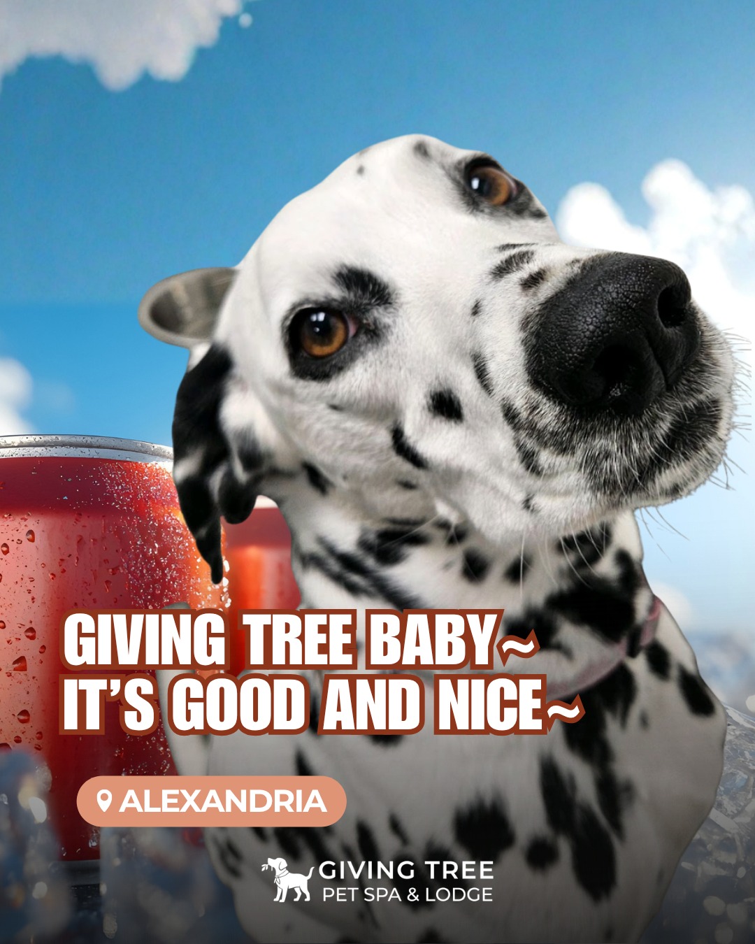Giving Tree Baby 🥤🫧
It's Goooood and Nice Do Do Doot 🎵
👉 Swipe to meet the adorable friends at Pet Spa & Lodge! 🐾
#GivingTree #Virginia
#GivingTreePetSpaAndlodge #Alexandria
#GivingTreeBaby #Its_GoodandNice
#DogGrooming #DogBlooming #Boarding