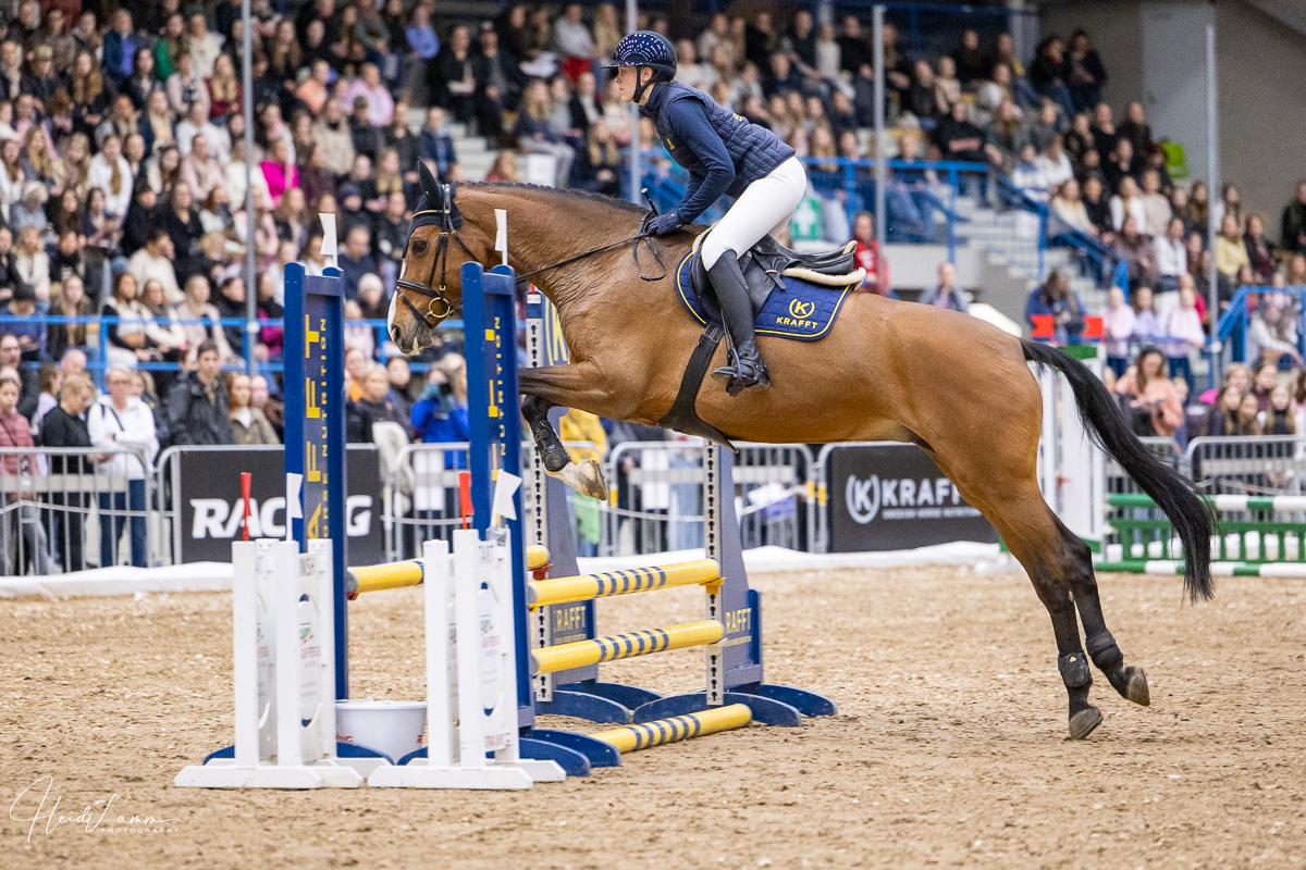 ⭐HEVOSET MESSUT 24.-26.4.2026 ⭐
Messuohjelman kohokohtia ovat estekilpailut, klinikat, show-näytökset sekä arvonnat, kuten supersuosittu Back on Track BINGO (pst, lauantaina ja sunnuntaina klo 11- 12 aikoihin KRAFFT -lavalla). Lisäksi messuilta saa paljon tietoa hevosten ruokinnasta ja hoitamisesta.
Olen kuvaamassa perjantain esteluokista alkaen koko tapahtuman ajan.
Nähdäänkö messuilla?