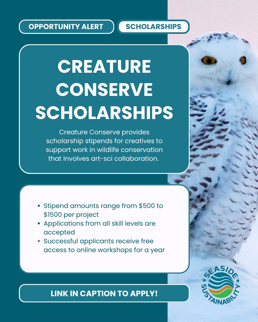 Scholarship Applications for creature Conserve are now open!
Winners receive between $500-$1500 in stipends
Applications from all skill levels are accepted
Successful applicants gain access to online workshops
Apply at: https://creatureconserve.com/scholarship-application-2026
#scholarshipopportunity #seasidesustainability #environmentalart #opportunityalert