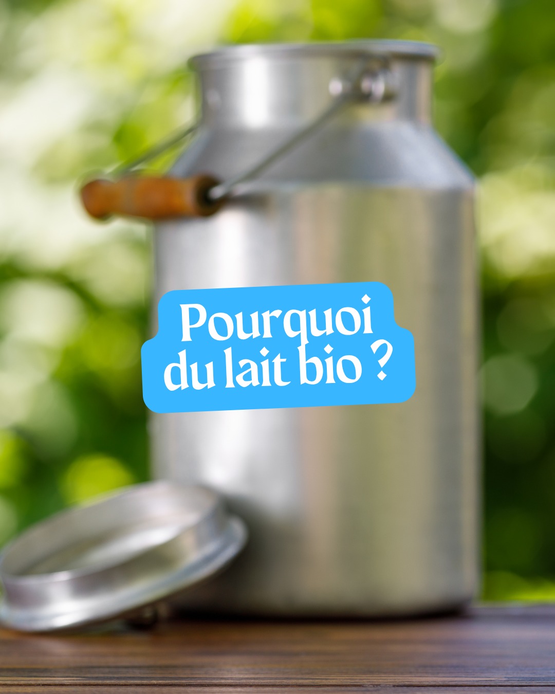 Pourquoi choisir du lait bio ? 🥛🌿
Chez Biochamps, on a fait le choix du bio depuis 1982.
✔️ Des vaches qui profitent d’un pâturage une bonne partie de l'année
✔️ Respect du bien-être animal et de la nature
✔️ Lait 100% origine France
✔️ Un lait travaillé avec respect dans notre processus de fabrication
Résultat ? Un lait et des desserts authentiques et gourmands !
Choisir le bio, c’est faire le choix :
💛 du goût
🌱 du respect de la nature
🐄 du bien-être animal
#biochampslaiterie #laitdevache #laitdebrebis #agriculturebiologique #biodepuis1982 #ariègepyrénées #respectdulait #madeinsudouest