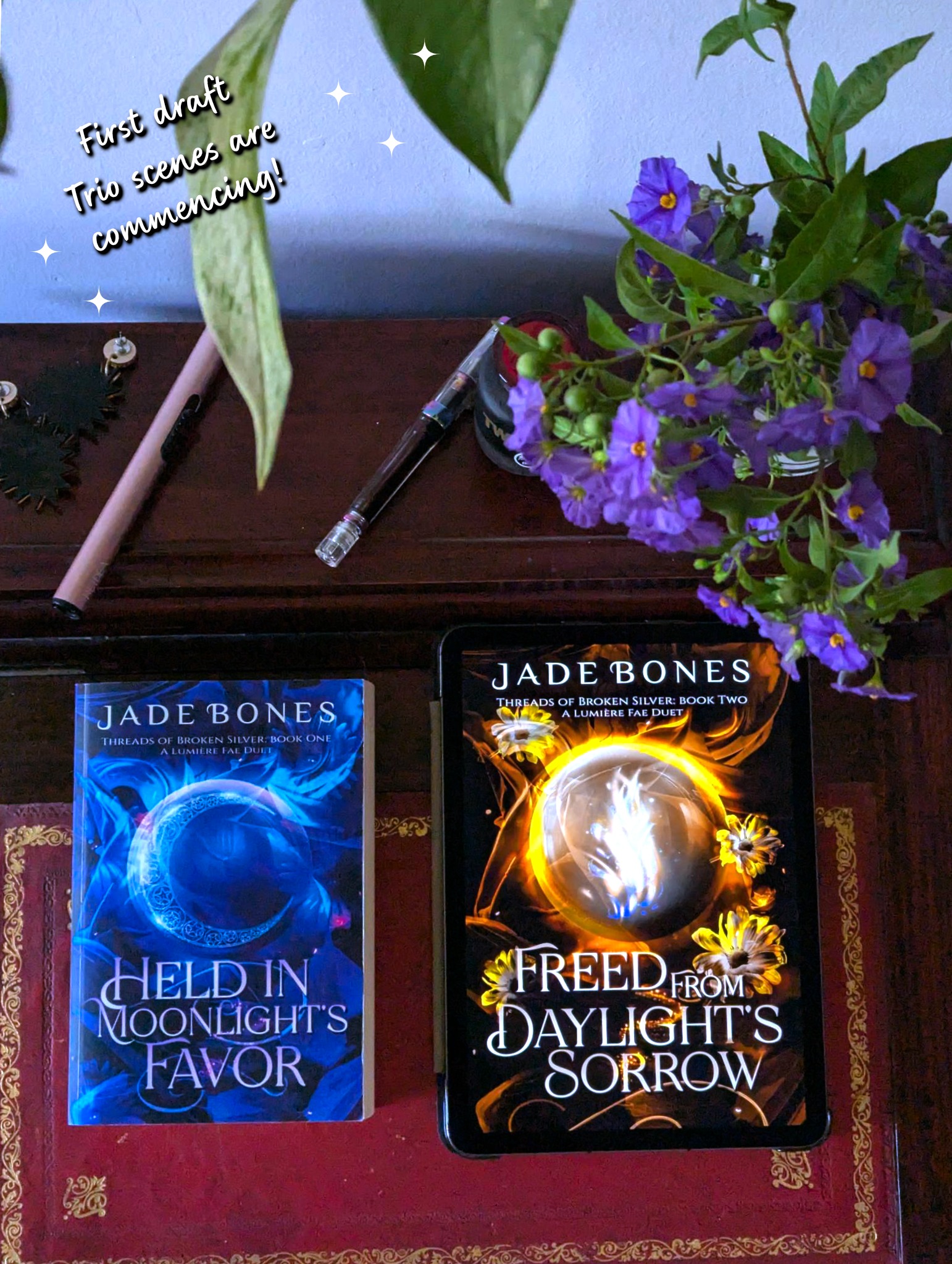 I actually took these photos a while ago and forgot they existed, which about sums up the last couple of months in terms of how things are going ๐
But the good news is that this means I'm *not* commencing trio scenes. I'm a handful of chapters from the end ๐
Then the whole editing dance begins, but we'll ignore that part for now.
#bookish #FantasyRomance #romantasy #indieauthors #whychooseromancebooks #slowburn