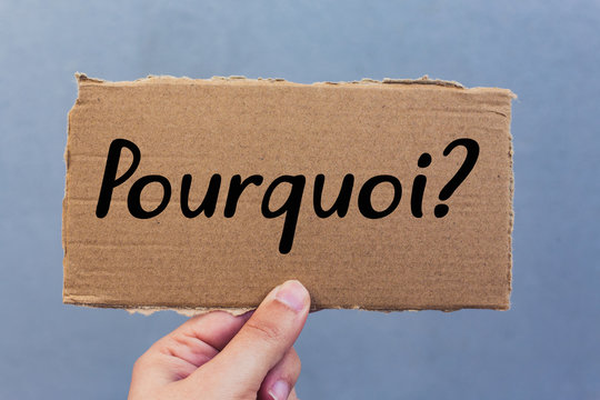 Vous vous êtes déjà demandé comment naît un événement vraiment réussi ?
Spoiler : ce n’est pas une question de budget… ni même d’idées.
Tout commence bien avant : dans les échanges, les objectifs, et surtout… l’intention derrière votre événement.
C’est exactement ce qu’on vous explique dans notre dernier article.
On vous partage notre façon de travailler, et pourquoi chaque projet commence toujours par les bonnes questions.
Découvrir nos conseils dans le blog. Lien en bio
Et vous, quand vous organisez un événement… vous savez vraiment par où commencer ?
#sconsultevents #ardennes #Pourquoi #eventplanners