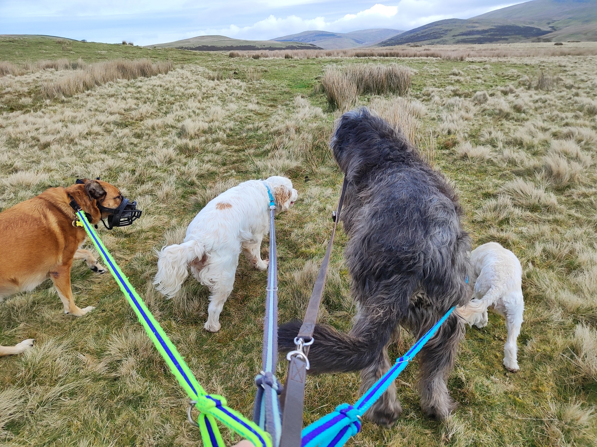 Beau, Nova, Daryl and Loui π₯°