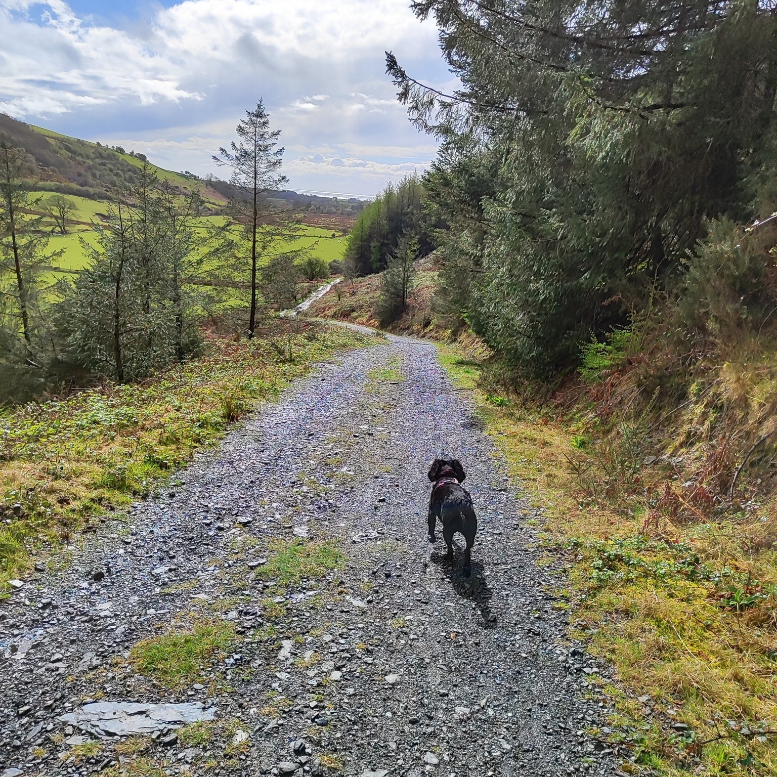 Missy, Ted and Honey πΆ