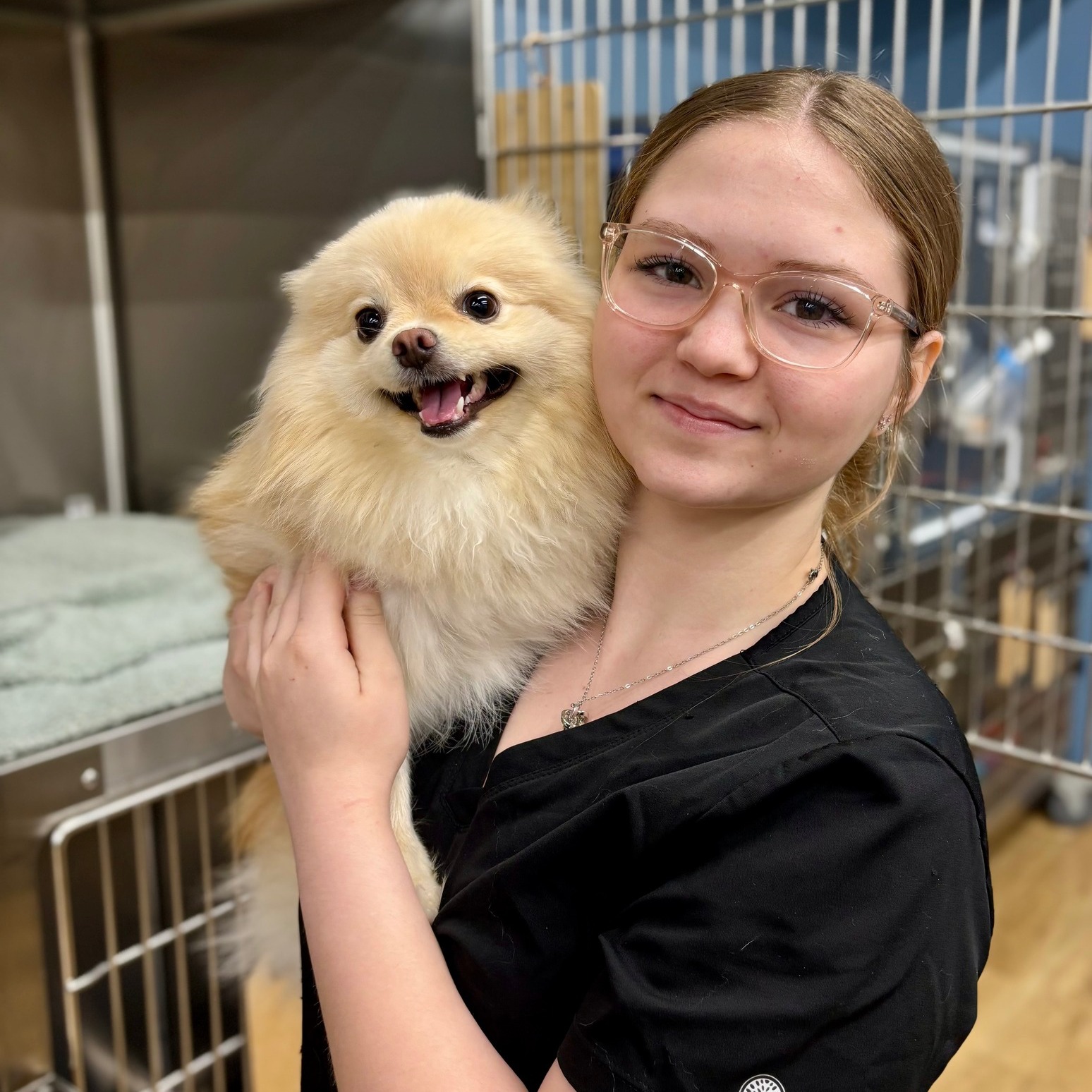 Say Hello to our friend Tory! 🩵🐾
This sweet girl brightend our day during her visit. Whether its a routine checkup or a surgery, we're always here to care for your furry family member!