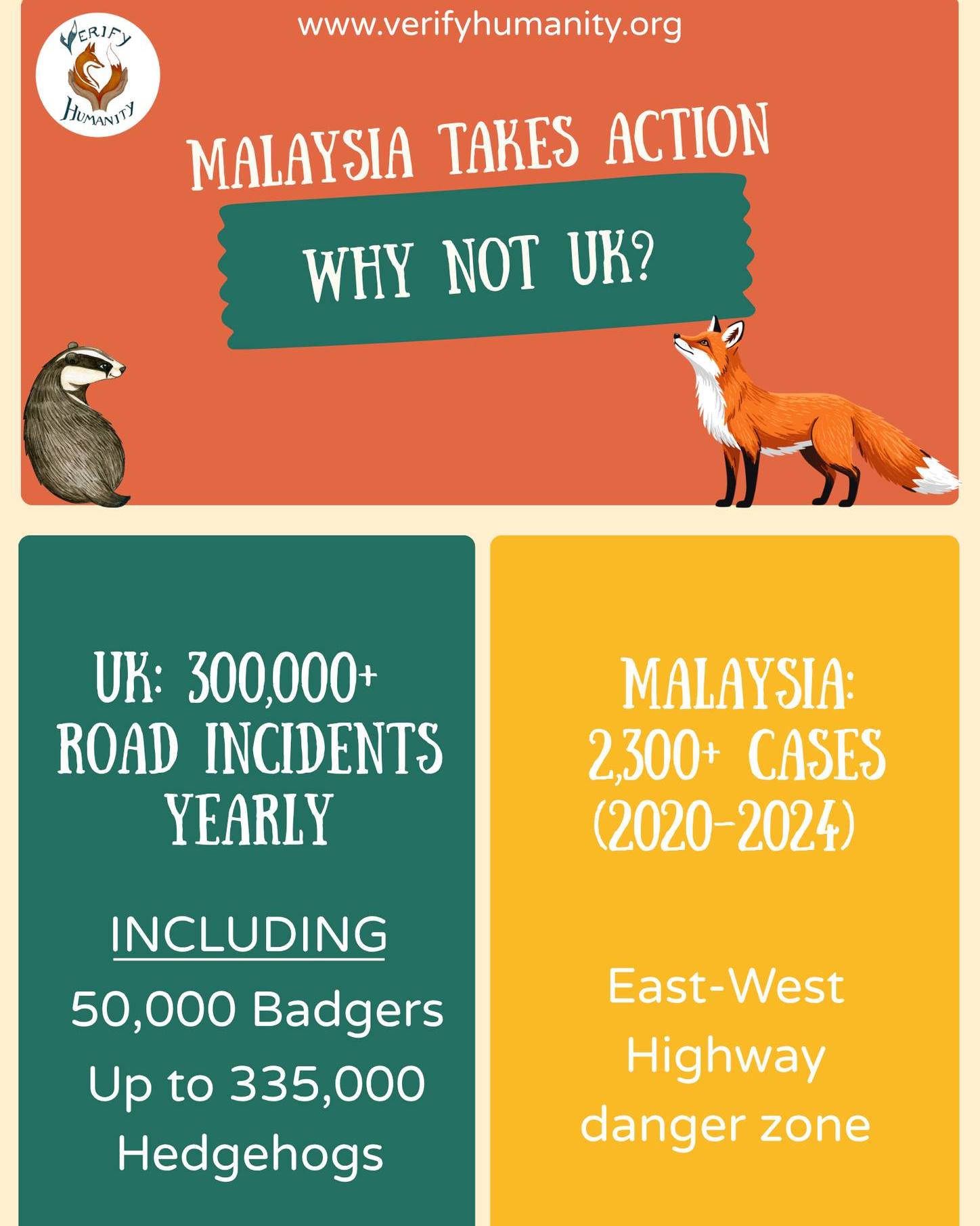 Roads aren't just dangerous for texting drivers, they are a wildlife nightmare too.๐
Every year, 300,000+ animals in the UK are killed by road accidents. However, in Malaysia, there have been 2,300+ cases since 2020. All motorways are basically a danger zone for badgers, and hedgehogs are losing the battle at an alarming rate. ๐ฆ
But here's the plot twist: It doesn't have to be this way. ๐ฟโจ
Wildlife tunnels, toad patrols (yes, really), fences, and eco-friendly signage are cutting collisions. The East-West Highway in Malaysia proves that these solutions are WORKING.
Swipe through to see the stats, the strategies, and how we can share the road with wildlife safely, literally. ๐
Watch. Slow. Report.
The Driverโs Guide: Stick to the speed limit, especially at dusk. Yellow triangle signs mark the real hotspots where wildlife needs the right of way. And if you see something on the road, take 30 seconds to report it to Project Splatter; your data is the only way we get more crossings built. Because every hedgehog, badger, and deer deserves safe passage. ๐ฆก๐ฆ
๐ข Share this news with your travel buddies!
#Road #Malaysia #UKWildlife #WildlifeCrime #ConservationMatters
SOURCES
https://www.verifyhumanity.org/post/how-traffic-is-killing-our-british-red-squirrels-hedgehogs-and-other-wildlife
https://vietnamnews.vn/world/1723186/malaysia-steps-up-efforts-to-reduce-roadkill-protect-wildlife.html
