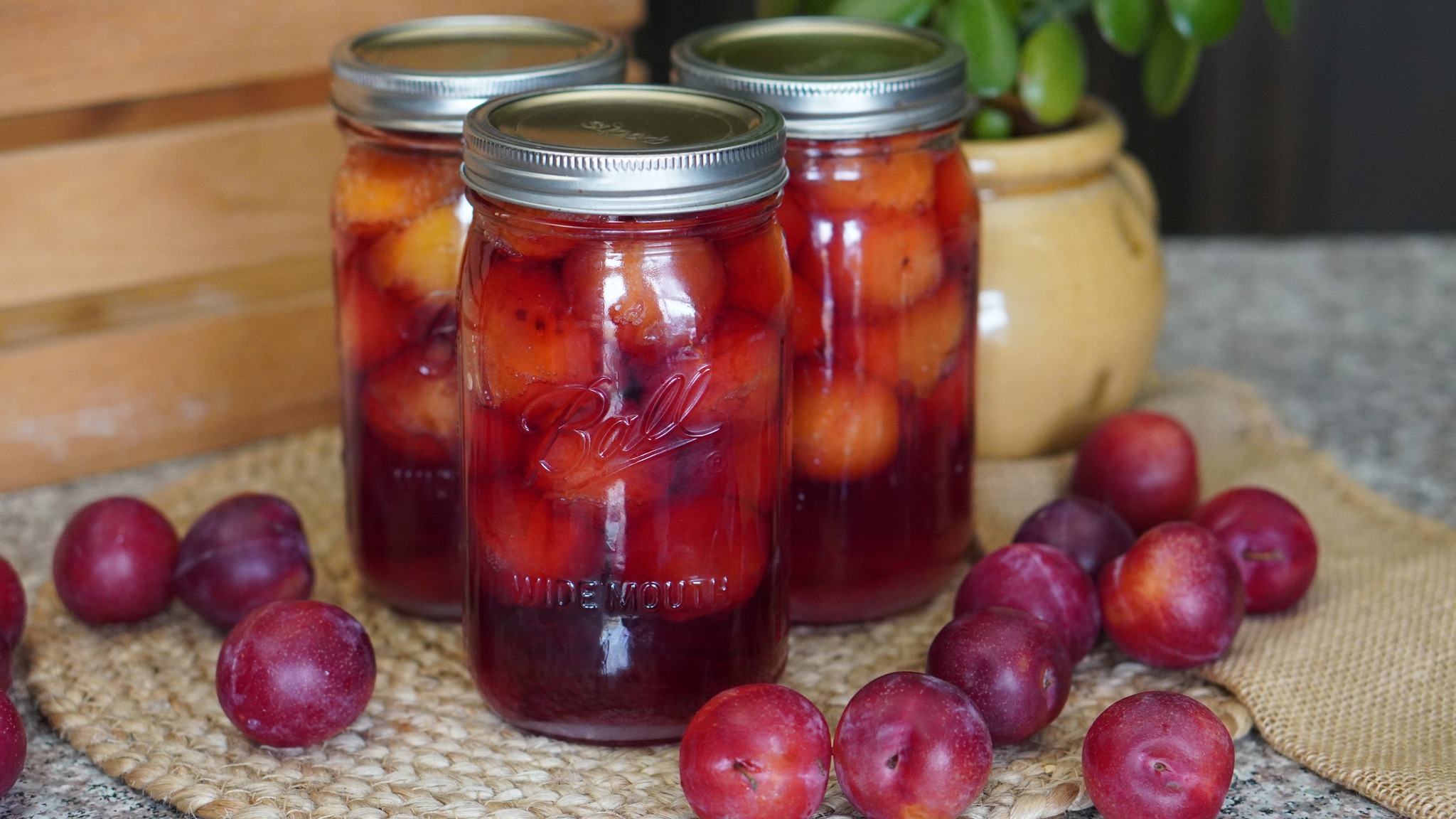 How to Preserve Whole Plums Canning Recipe
Canning and preserving whole plums allows you to enjoy them later either on their own or in another recipe. I like using this recipe for the small plums that aren't worth pitting but are a perfect bite-sized snack. This preservation method for plums allows you to easily add to your pantry.
WEBSITE: https://wisdompreserved.life/how-to-preserve-whole-plums/
How Altitude Affects Canning Processing: https://youtu.be/oSr1QyV8hU8
Quality, American-made, Superb CANNING LIDS and JARS:
✅Here is your 20% off promo code: WP20
✅Superb Website https://shop.superbsealing.com/?ref=WP20
#superbcanning @superbcanning