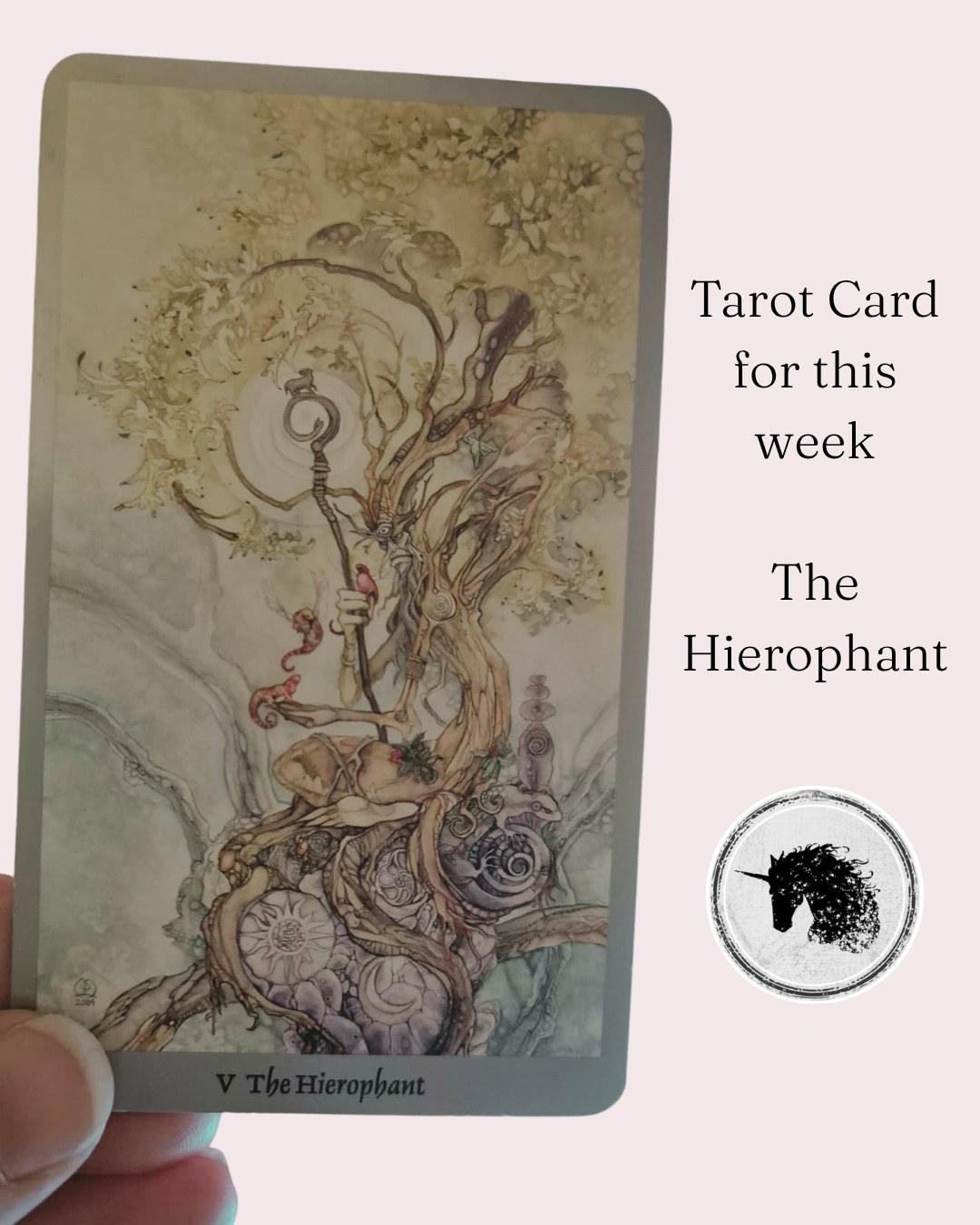 This week we have The Hierophant
A card that asks us to look at our collective authority... the structure we have inherited from those who came before us. The Hierophant is a card of traditions, the ways things have always been done. Do we ever dare question this in the many facets of our lives?
Traditional card imagery for the Hierophant is linked to religion / institution. For me this card is very Earthy (like last week), the imagery from the Shadowscape deck take me to the Wise Old Tree - sharing an ancestral knowing and intuitive wisdom.
What do you see here?
Looking from the energy and intention of last week's Ace - we are now invited to consider what are the systems that will hold what we are growing? Deeper still - are we willing to place a new version of ourselves into an old system... or is it a case that it is the system itself that needs reshaping.
This is the week to sit with your relationship with traditions and systems - big or small...
The thing to remember too with the Hierophant, is that it is card number 5 - linked to change, so while it is about structure, this card actually brings with it pressure to evolve... to consider what else... to ask why?
Is this structure supporting or restricting? Are you following this 'system' because it is true... or familiar?
Notice your inherited patterns (family, culture, work, self).
Through this week you may feel the need to question the way things have always been done. What you've always believed. Sit with (and embrace if you can) the tension between "the way it's done" and "what feels right"
This card often shows up THROUGH people; mentors, teachers, guides, any authority type figures that are here to share information and knowledge. An opportunity perhaps to consider who you are listening to and why... and more over, who might be listening to you!?
My intention with these weekly tarot cards is to bring you an anchor from the spiritual realm into the physical - to bring support and awareness to what is happening for you within your days, the energy around you and how you may see the energy of this card playing out.
Blessings x
Priestess Clan Mother
Tracy-Lee x 🦄💛