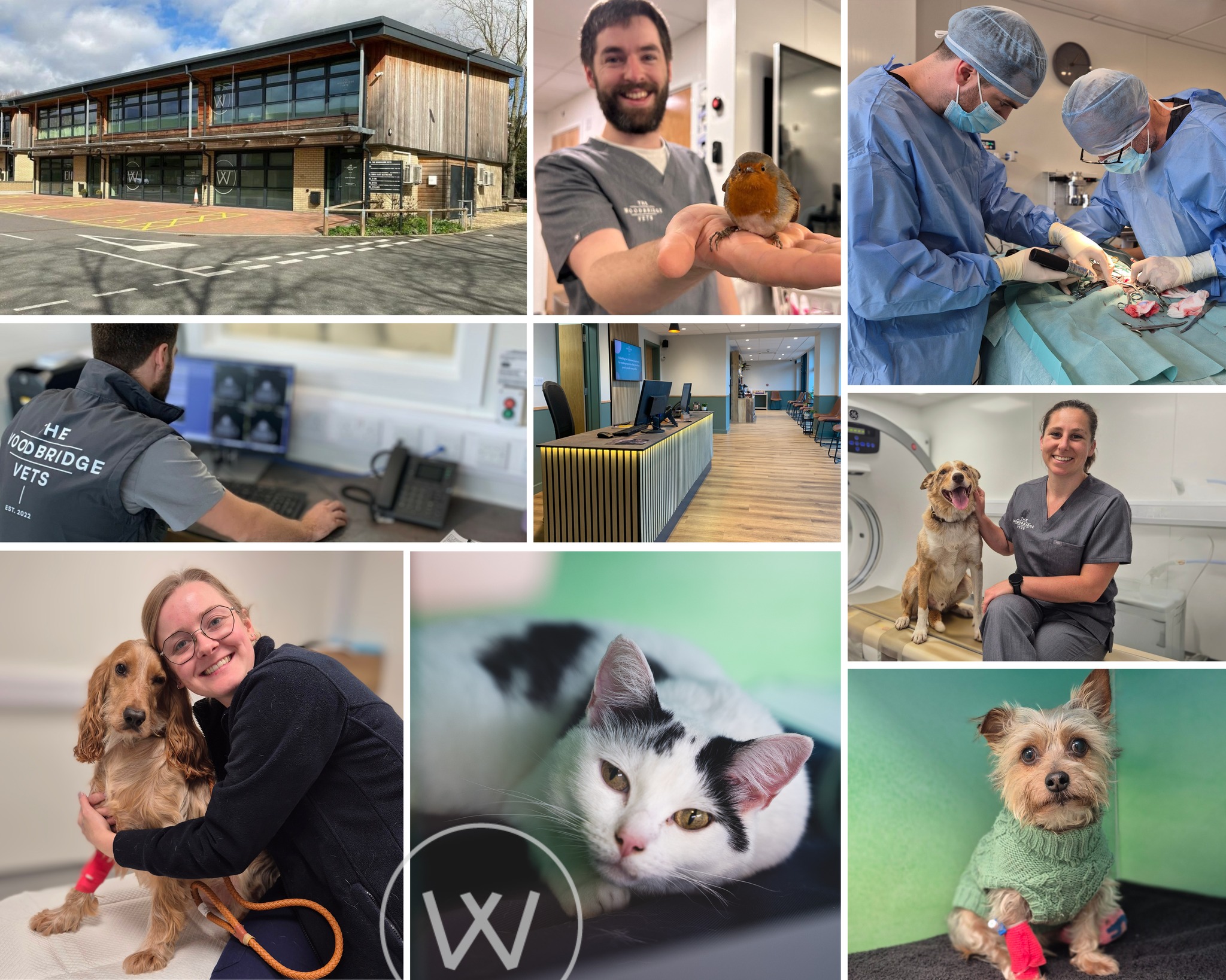 Today, we celebrate four incredible years of The Woodbridge Vets. Looking back on our journey so far, we feel immensely proud of what we’ve achieved and grateful for the trust and support of our clients. From the very beginning, our aim has been to set the standard for high-quality, compassionate veterinary care - and to continue building on that commitment every day ❤
In just four years, the practice has grown significantly. We’ve expanded and added more consultation rooms, increasing our surgical space, and creating greater kennel capacity. We’ve also invested in advanced equipment and highly qualified veterinary surgeons, including a CT scanner, upgraded ultrasound machines, and new capabilities such as endoscopy and laparoscopic (keyhole) surgery.
Our dental facilities have also seen major improvements.
None of this would have been possible without you - our clients and the wonderful community behind us here in Suffolk. From those who registered with us before we even opened, to those joining us every day or considering joining, your support has meant everything.
Following the huge success of Kyle and Laurie opening The Hadleigh practice in September 2024 - which is now successfully led by Jo and Jess - we’re thrilled to share some exciting news: Kyle and Laurie have been working incredibly hard behind the scenes to get The Colchester Vets up and running. This new practice will be led by Chris Goetschel and his long-time colleague, Joanna Rodak-Smith, bringing the same dedication, passion, and knowledge that pet owners have come to expect.
On behalf of the entire team, thank you for being part of our journey and for helping make our first four years such a success - with much more still to come ❤
#thewoodbridgevets #veterinarypractice #independentpractice #suffolkvet #suffolkcommunity #veterinaryteam #veterinarycare #dogs #pets