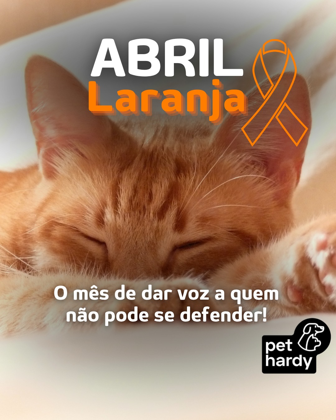 Abril é o mês dedicado ao combate aos maus-tratos contra os animais. 🧡 🐾 O Abril Laranja existe para nos lembrar que proteger quem não tem voz é uma responsabilidade de todos.
Infelizmente, a violência pode acontecer de forma silenciosa e invisível, muitas vezes disfarçada de negligência. Negar água fresca, deixar o animal em espaços inadequados ou ignorar suas necessidades médicas também ferem. 🩺 🆘
Juntos, somos mais fortes na defesa deles!
#PetHardy #AbrilLaranja #CuidadoAnimal #ProteçãoPet #SaudeAnimal #Moema #Indianopolis #TutoresResponsaveis #Denuncie